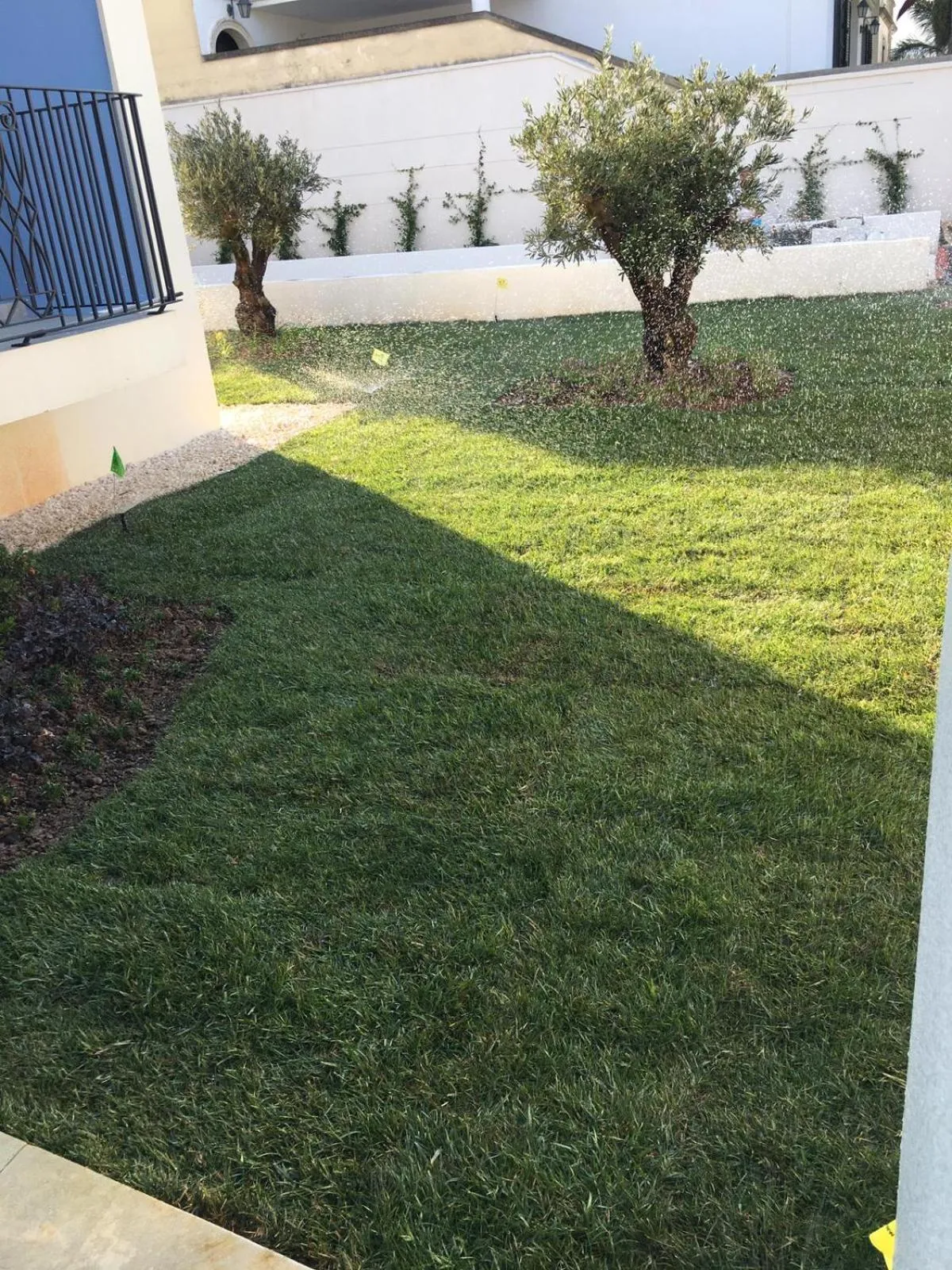 Garden in La Casa di Francesca B&B