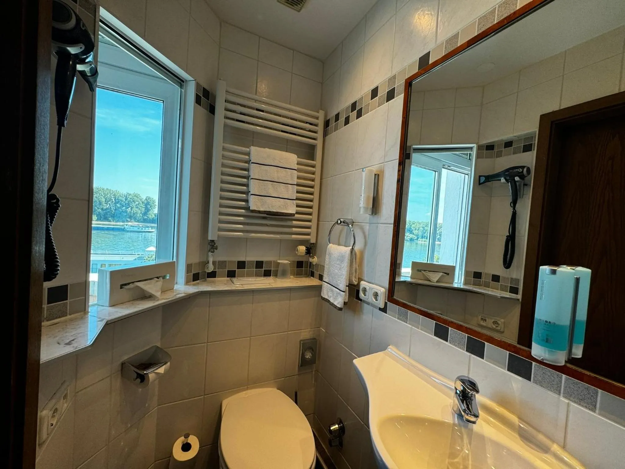 Toilet in Rhein-Hotel Nierstein