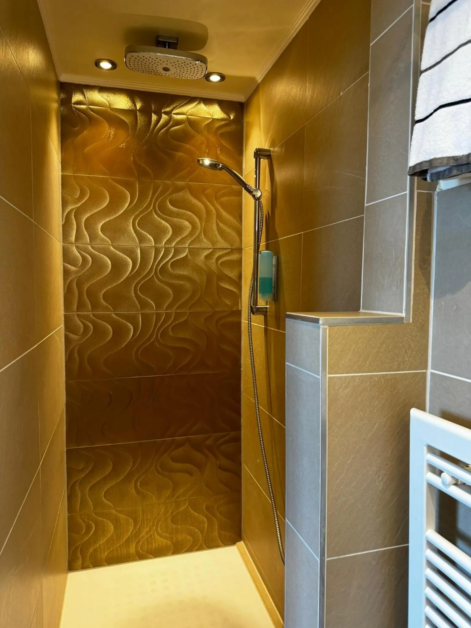 Shower in Rhein-Hotel Nierstein