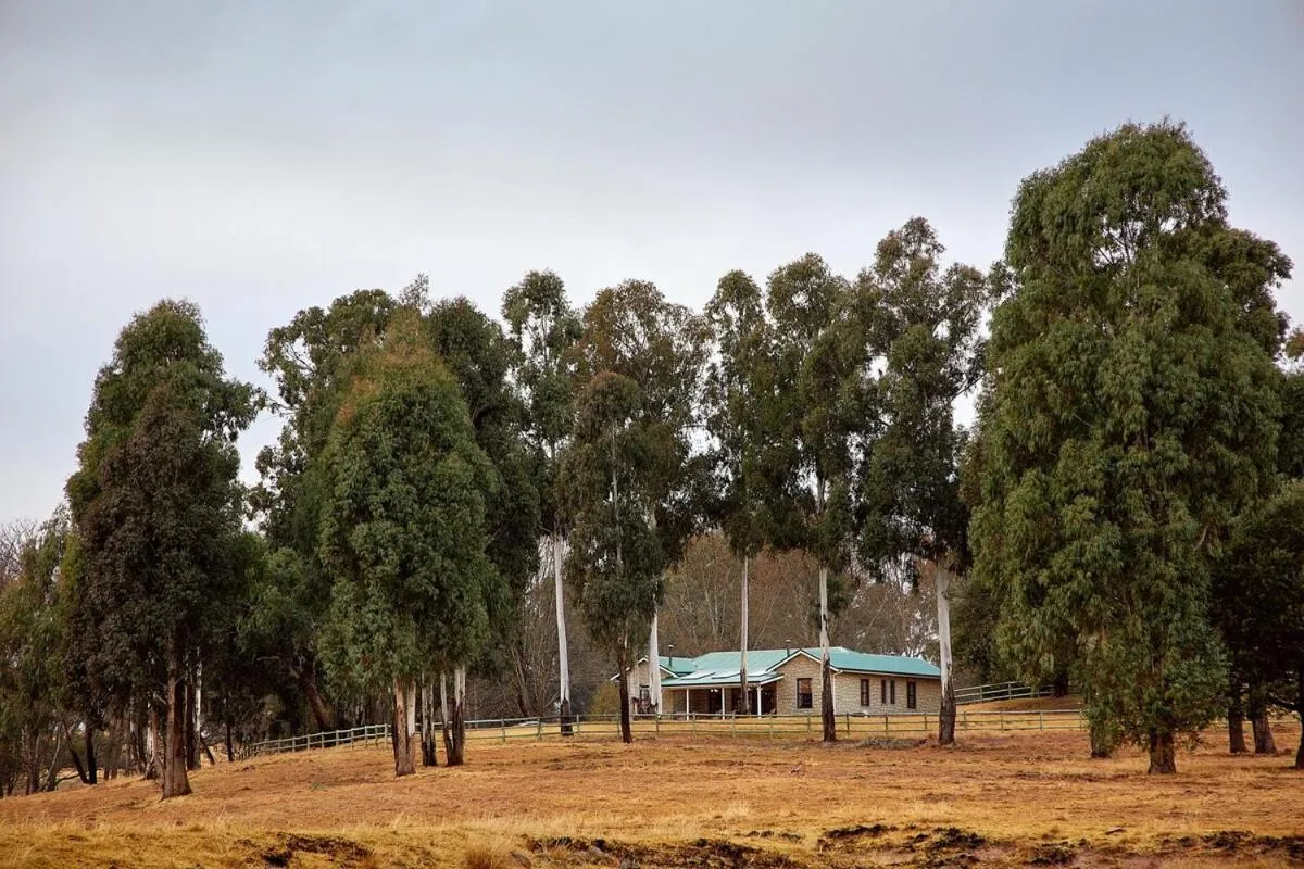 Property building in Bergview Farm Cottage by First Private Stays