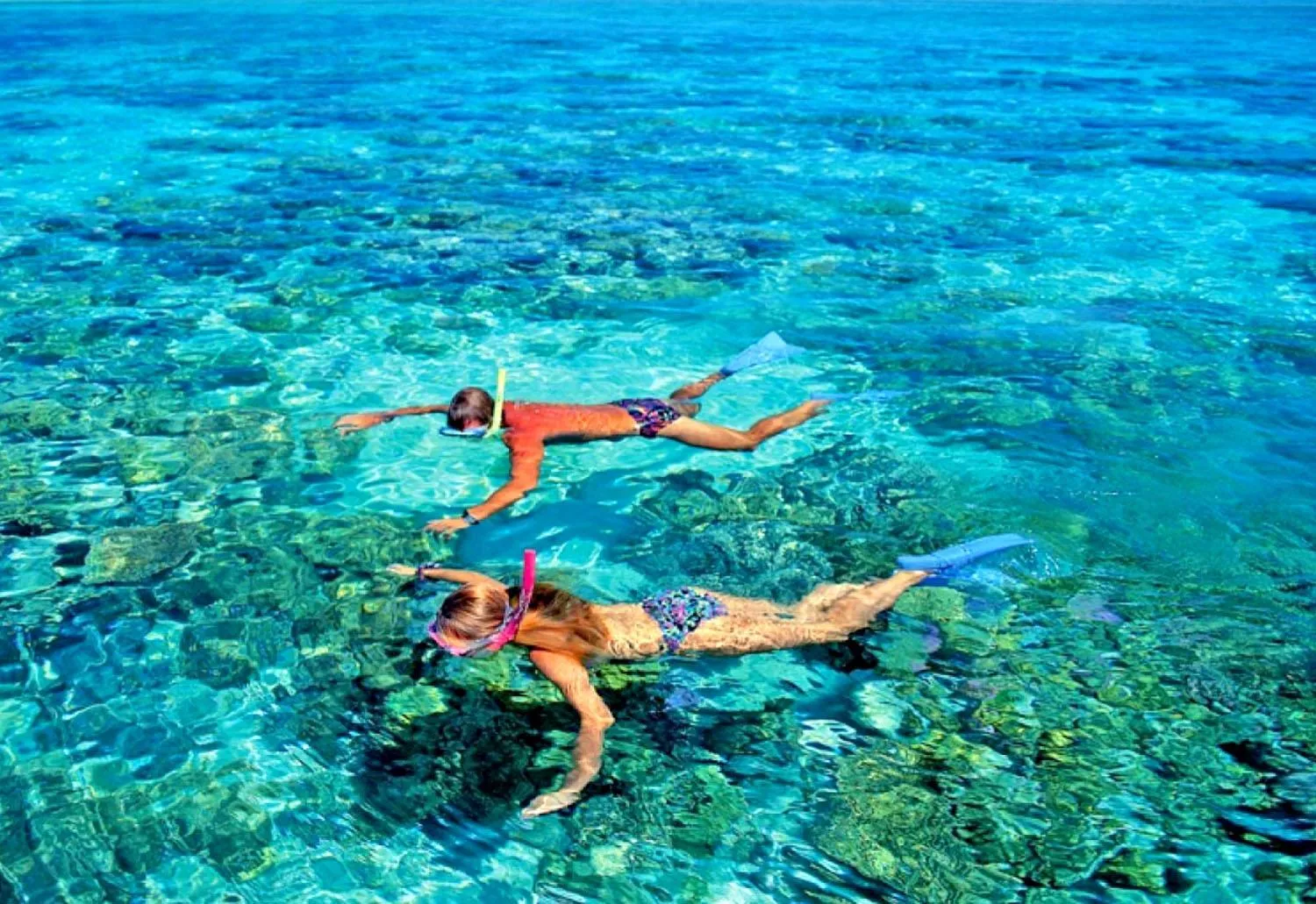 DAYA Beach, Lipe local