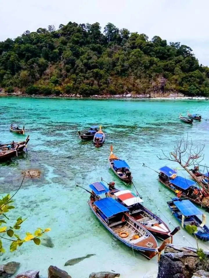 DAYA Beach, Lipe local