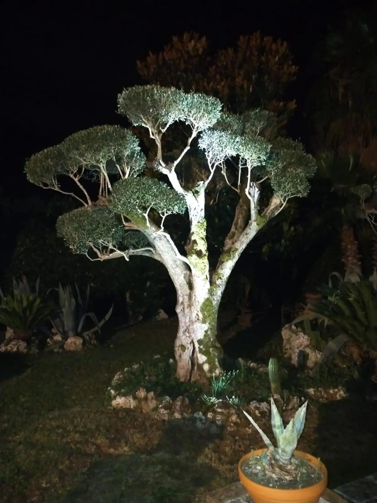 B&B il giardino di Eolo