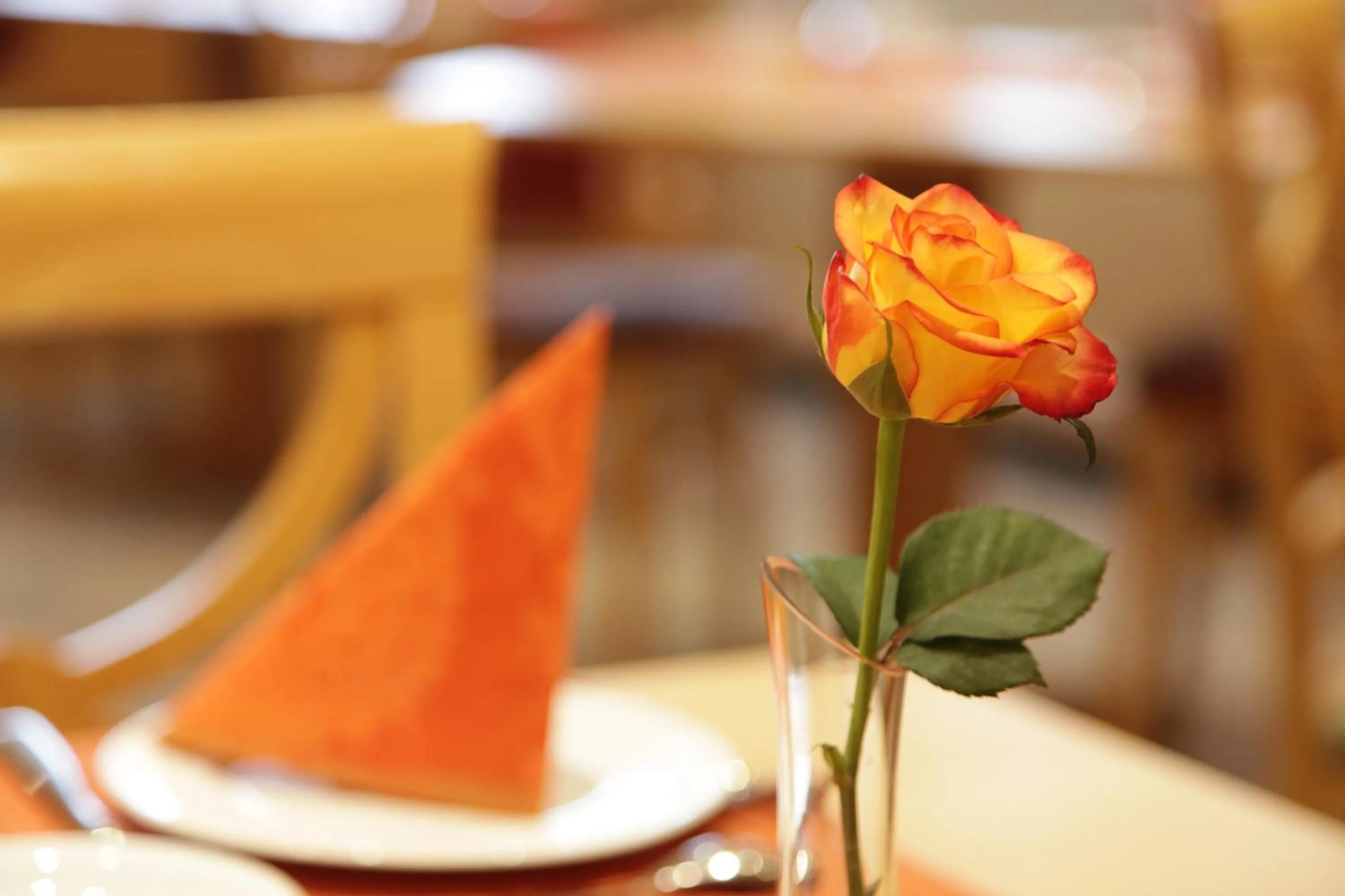 Restaurant/places to eat in City-Hotel garni