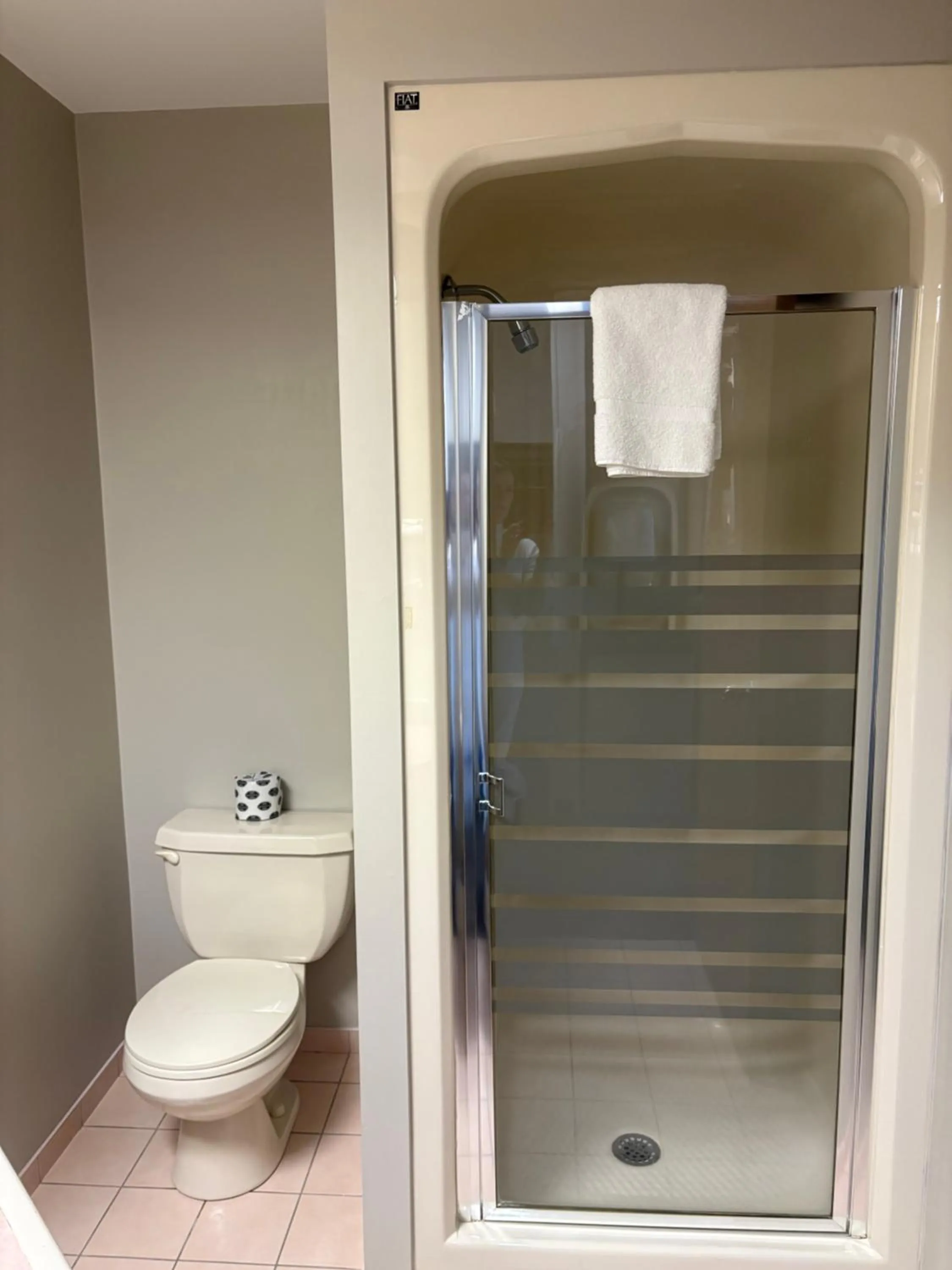 Shower in Companion Hotel Motel