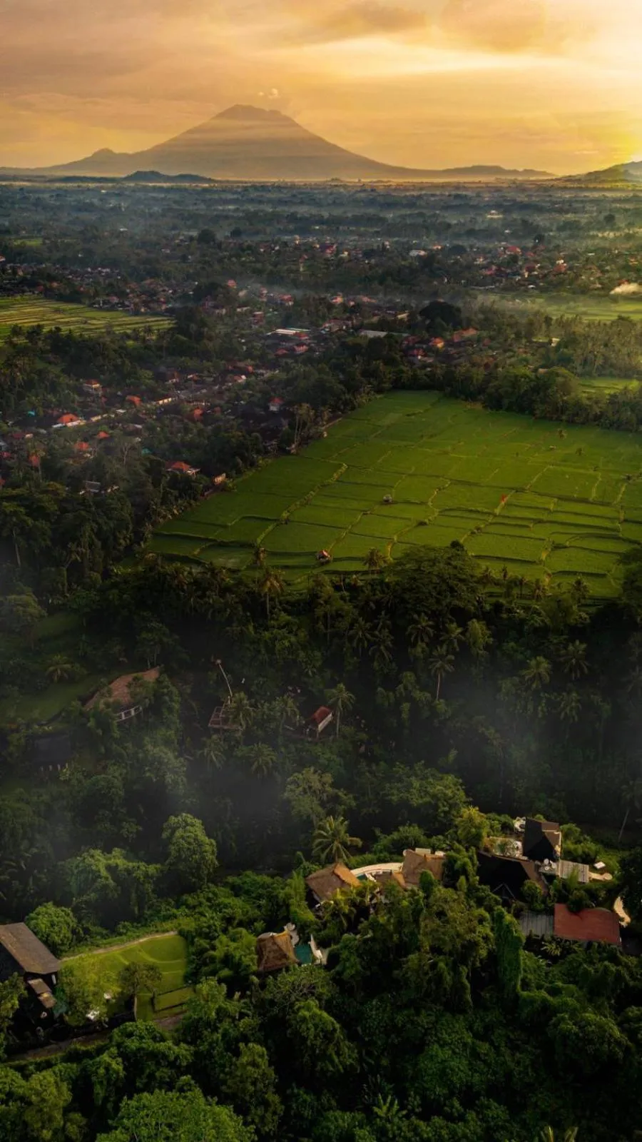 Natural landscape in Villa Cella Bella Ubud