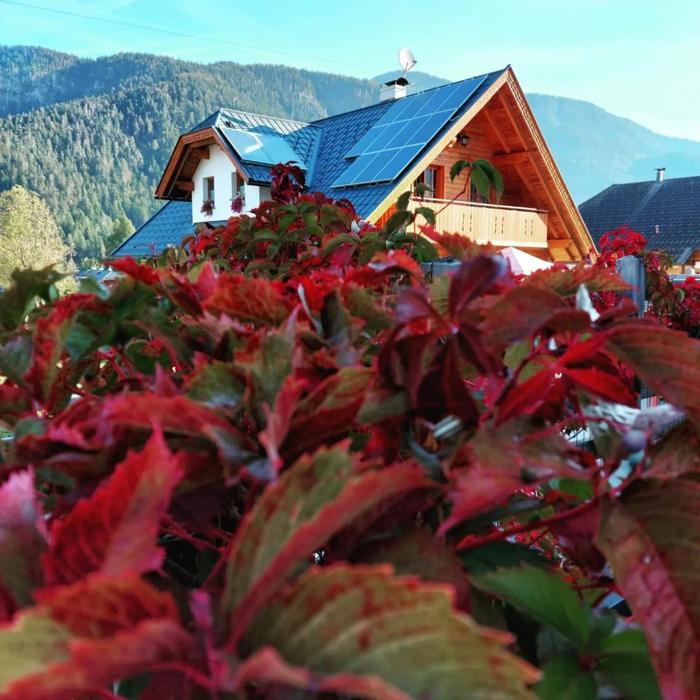 Al sentiero di Charly