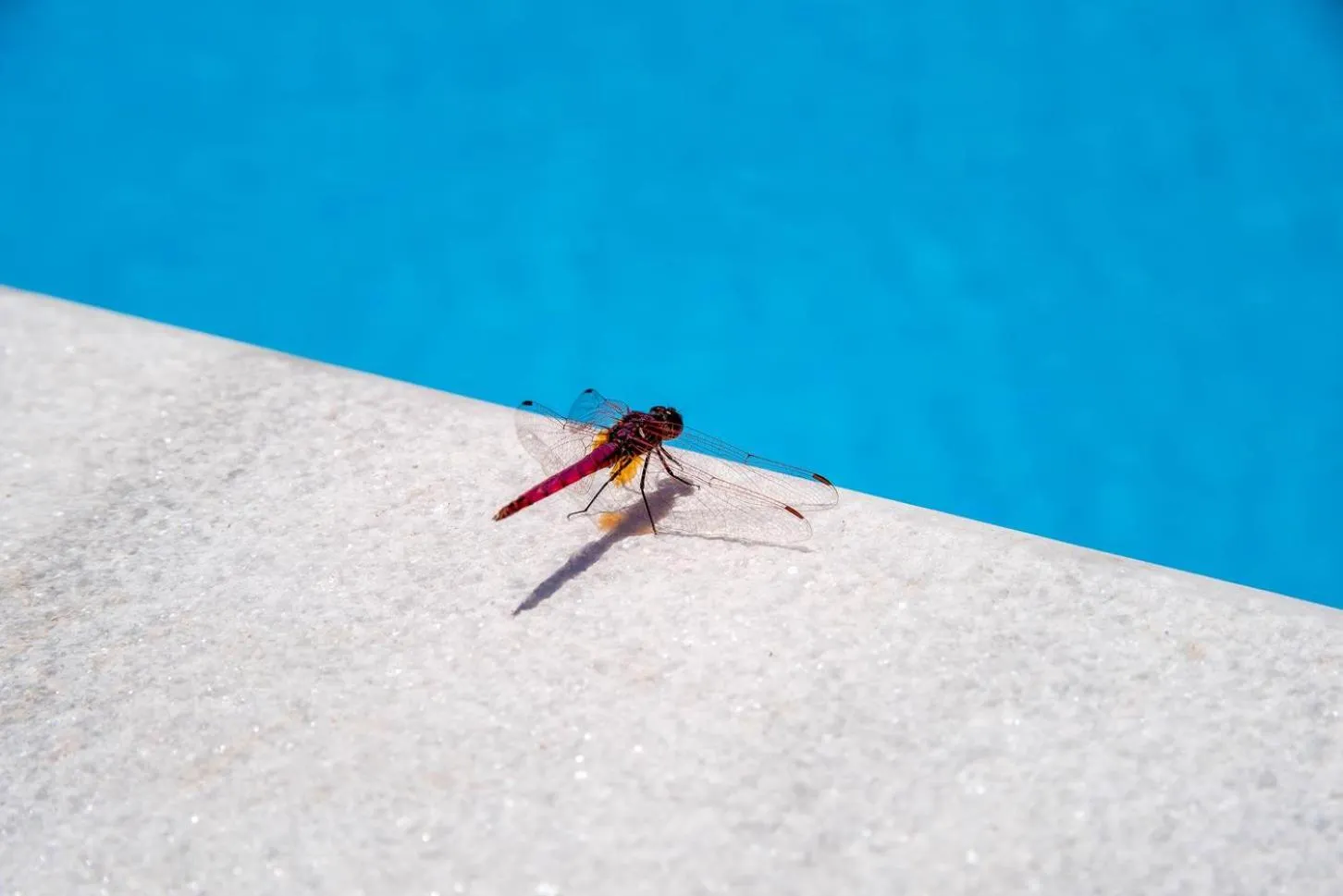 Natural landscape in LIvadi Studios with Pool