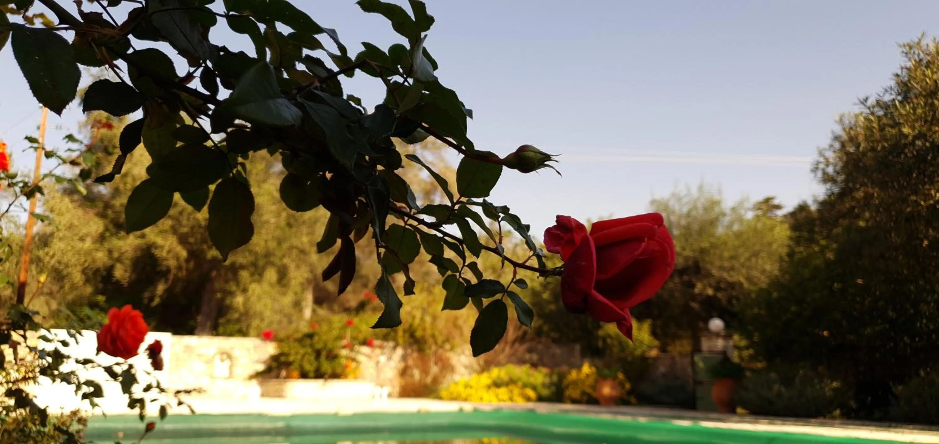 Swimming pool in LIvadi Studios with Pool