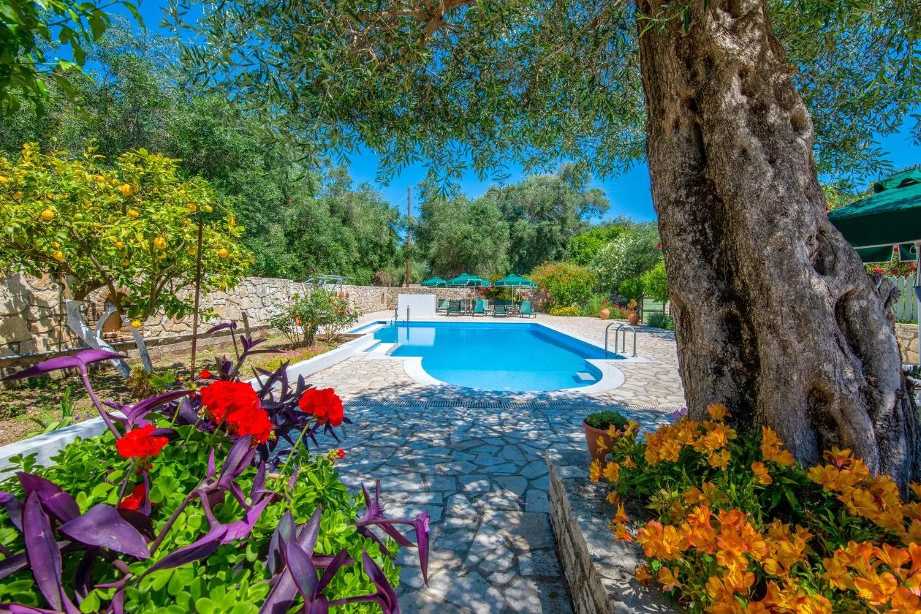 Natural landscape in LIvadi Studios with Pool