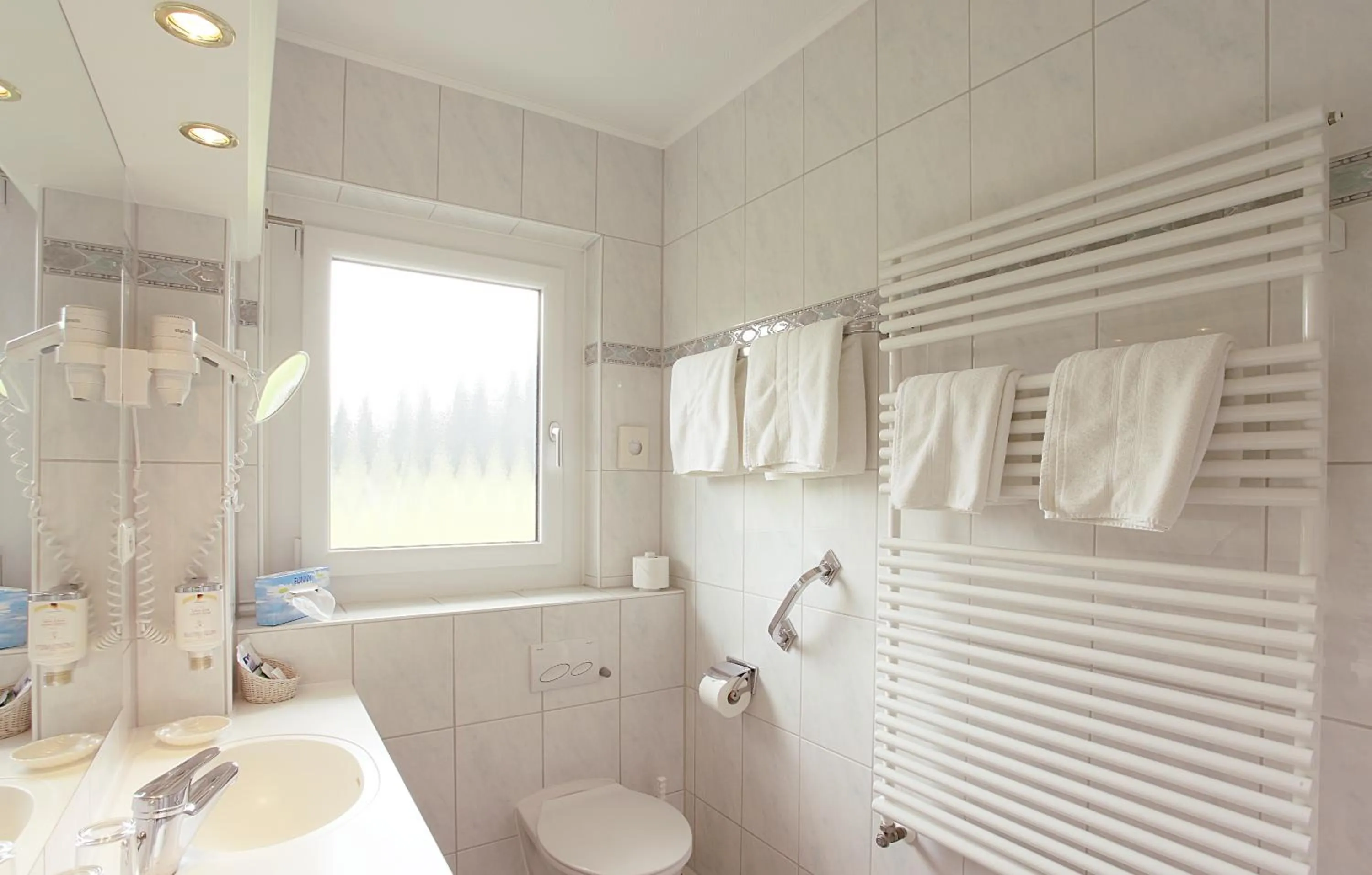 Day in Wittelsbacher Hof