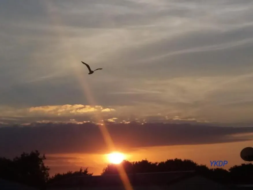 Natural landscape in 2013 Willerby Sunset Static Caravan Holiday Home