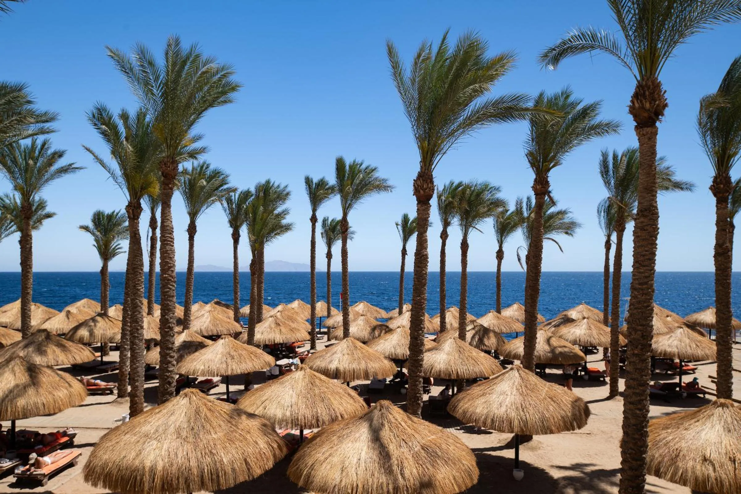 Beach in The Grand Hotel Sharm El Sheikh