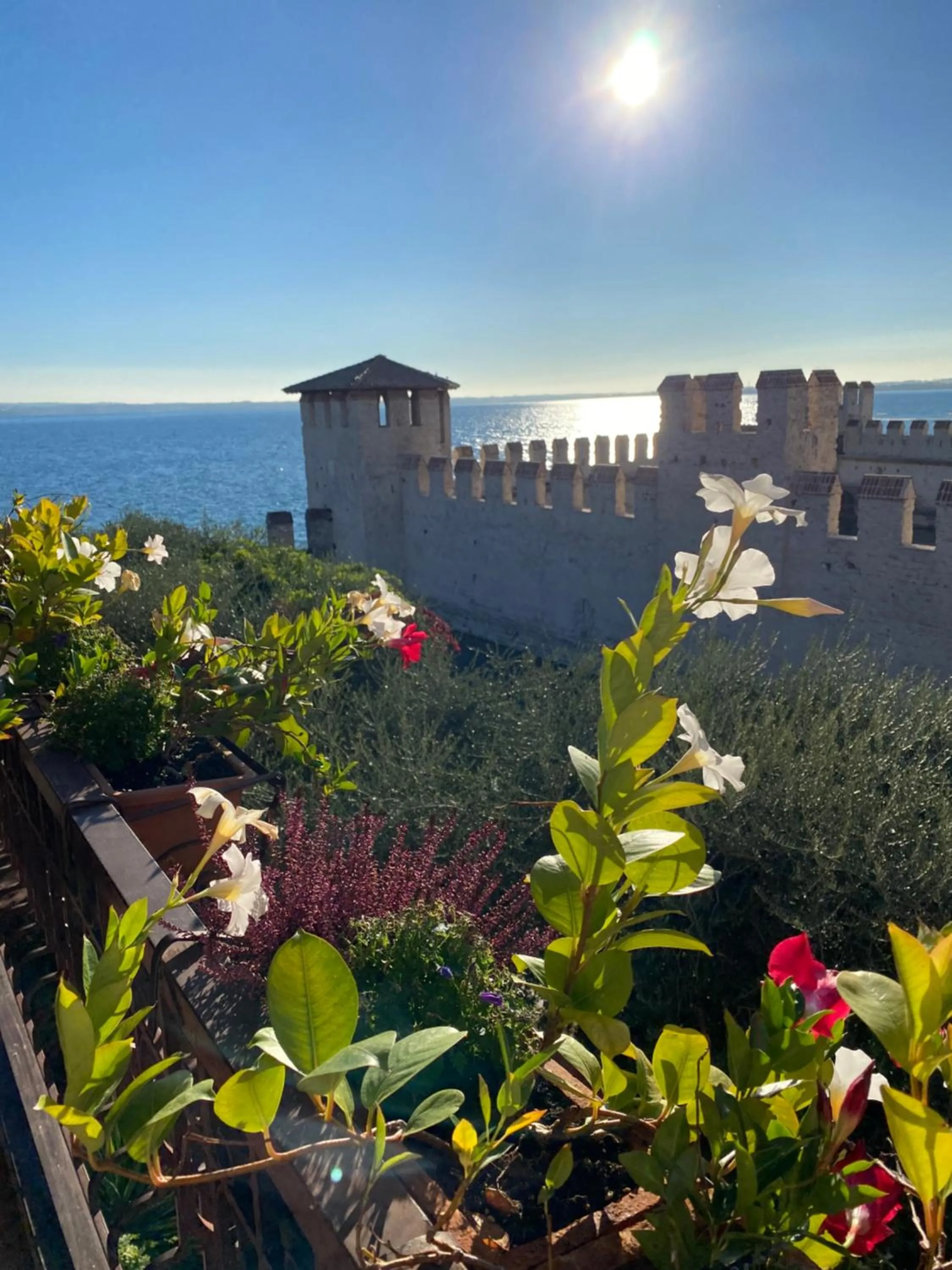 View (from property/room) in Hotel Grifone