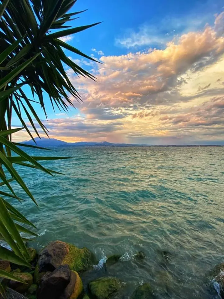 Natural landscape in Hotel Grifone
