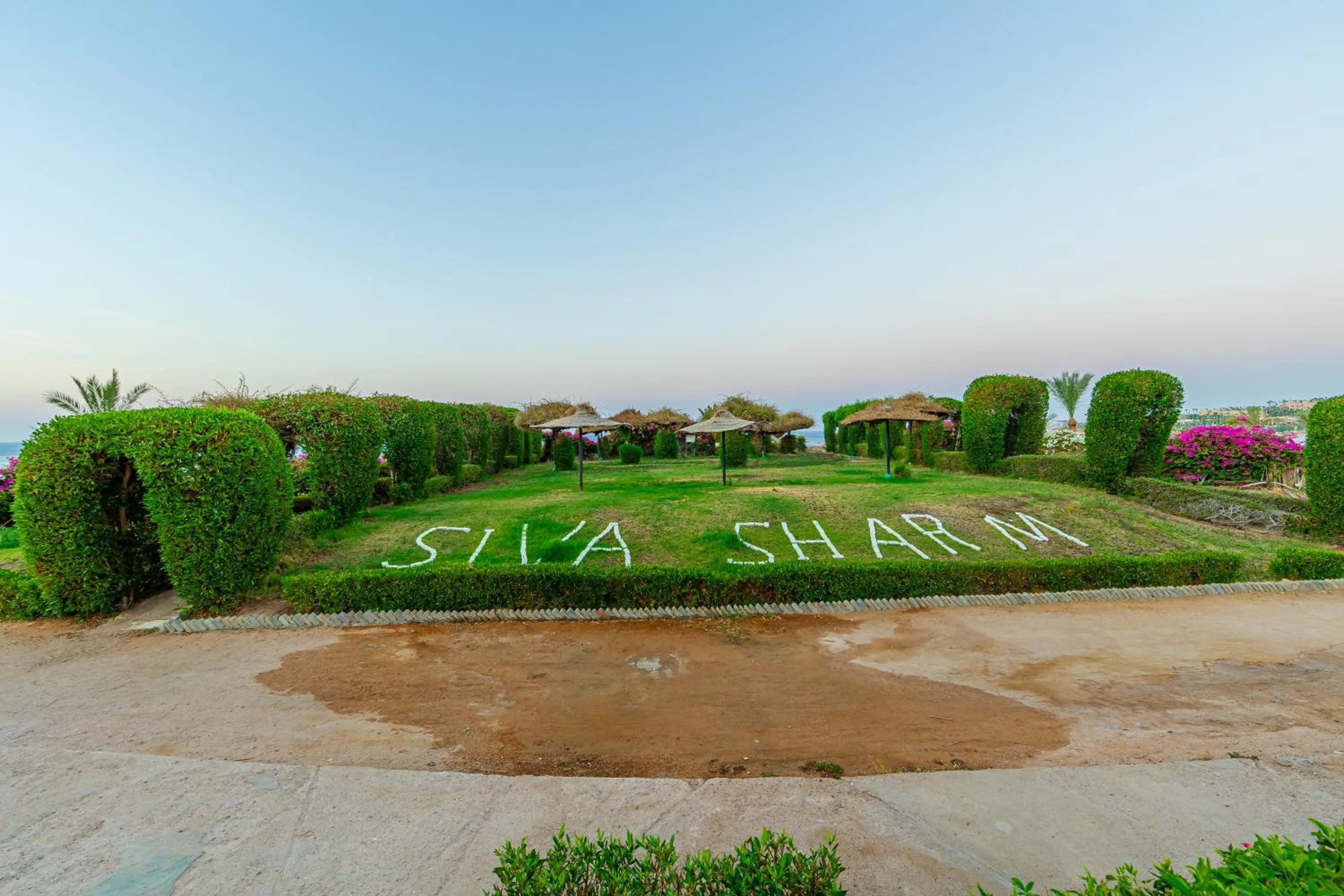 Garden in Siva Sharm Resort & SPA