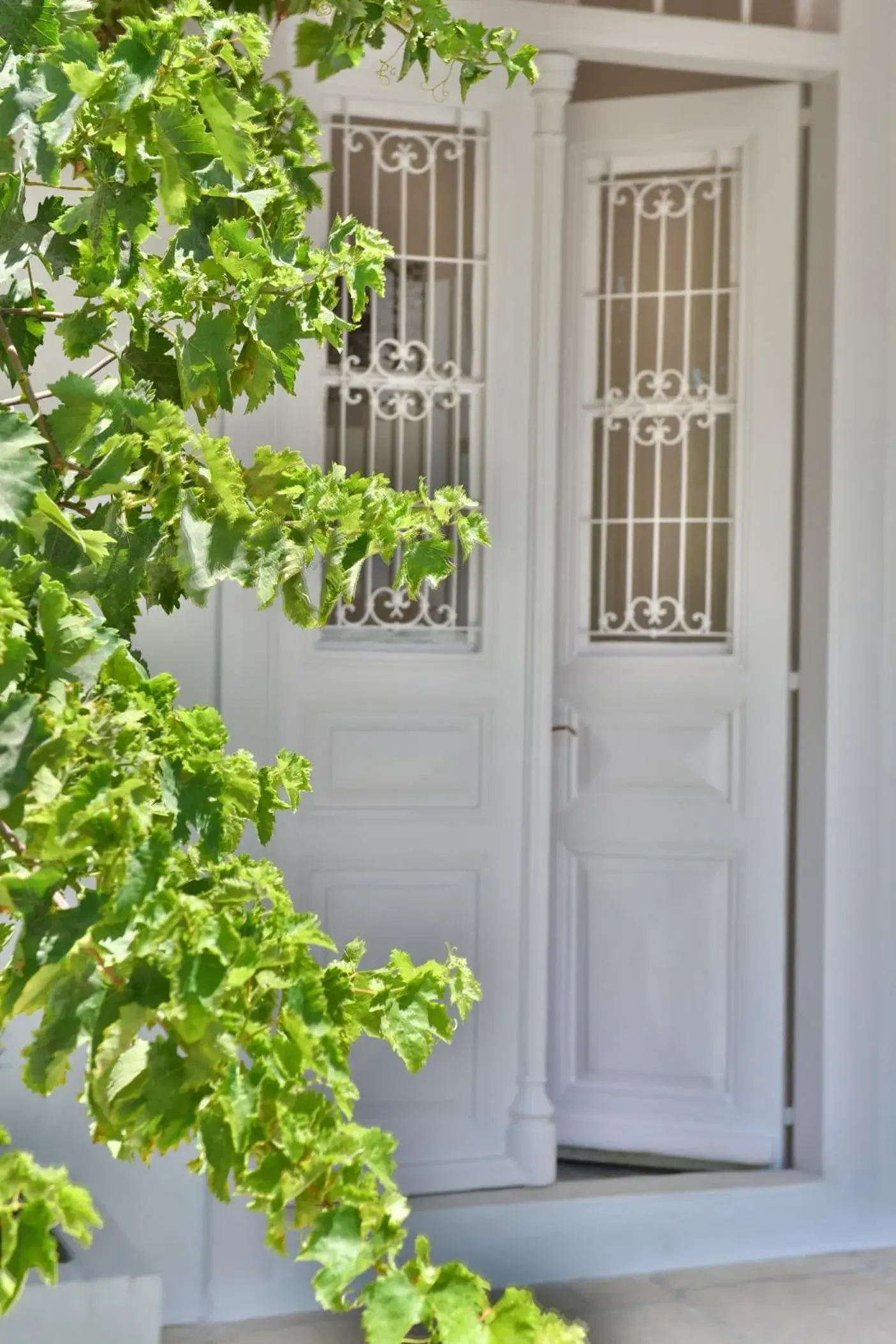 Junior Suite with Terrace in Hydra Art Suites Junior Suite with Terrace in Hydra Art Suites