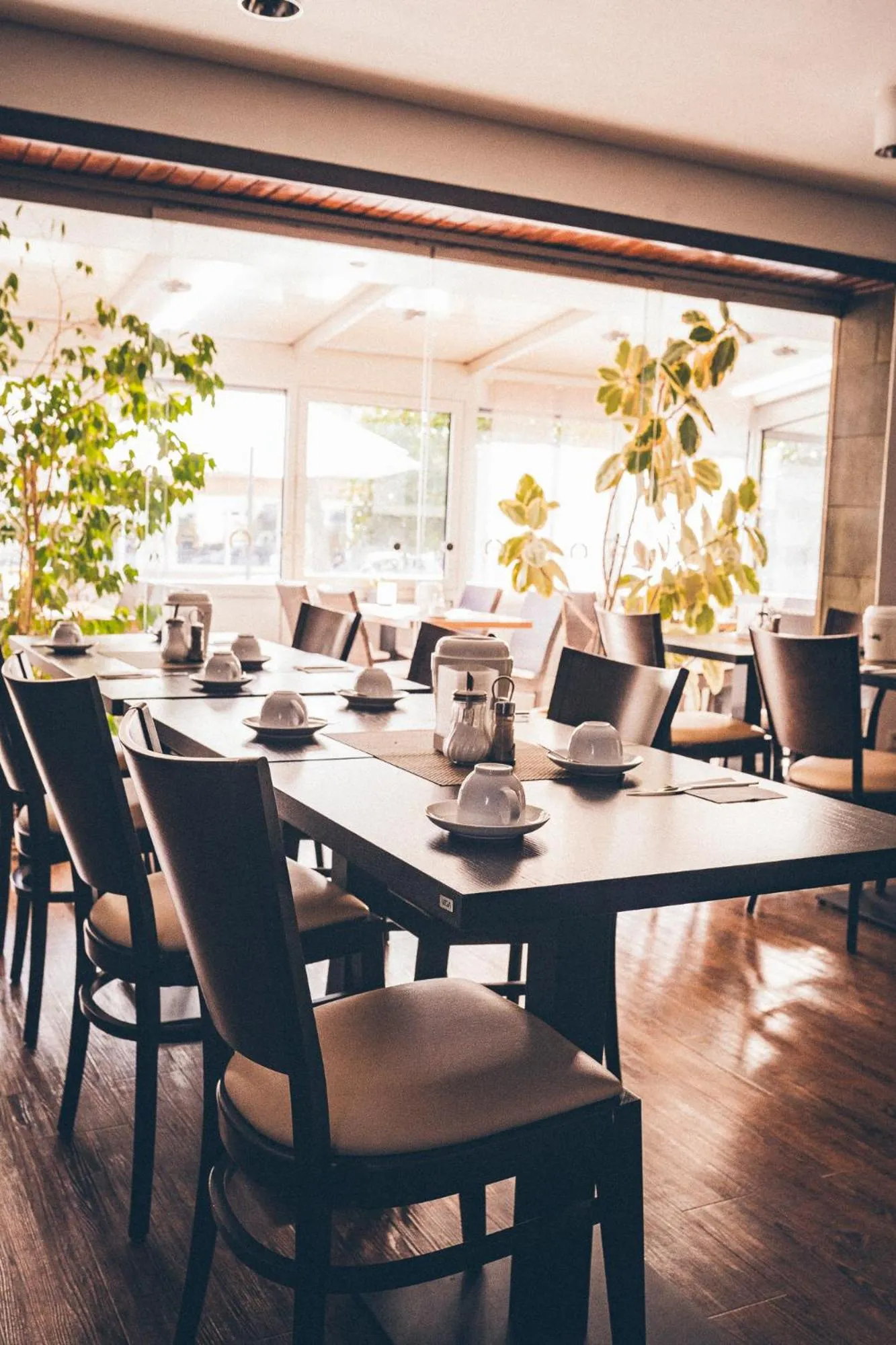 Restaurant/places to eat in Gartenstadt Hotel