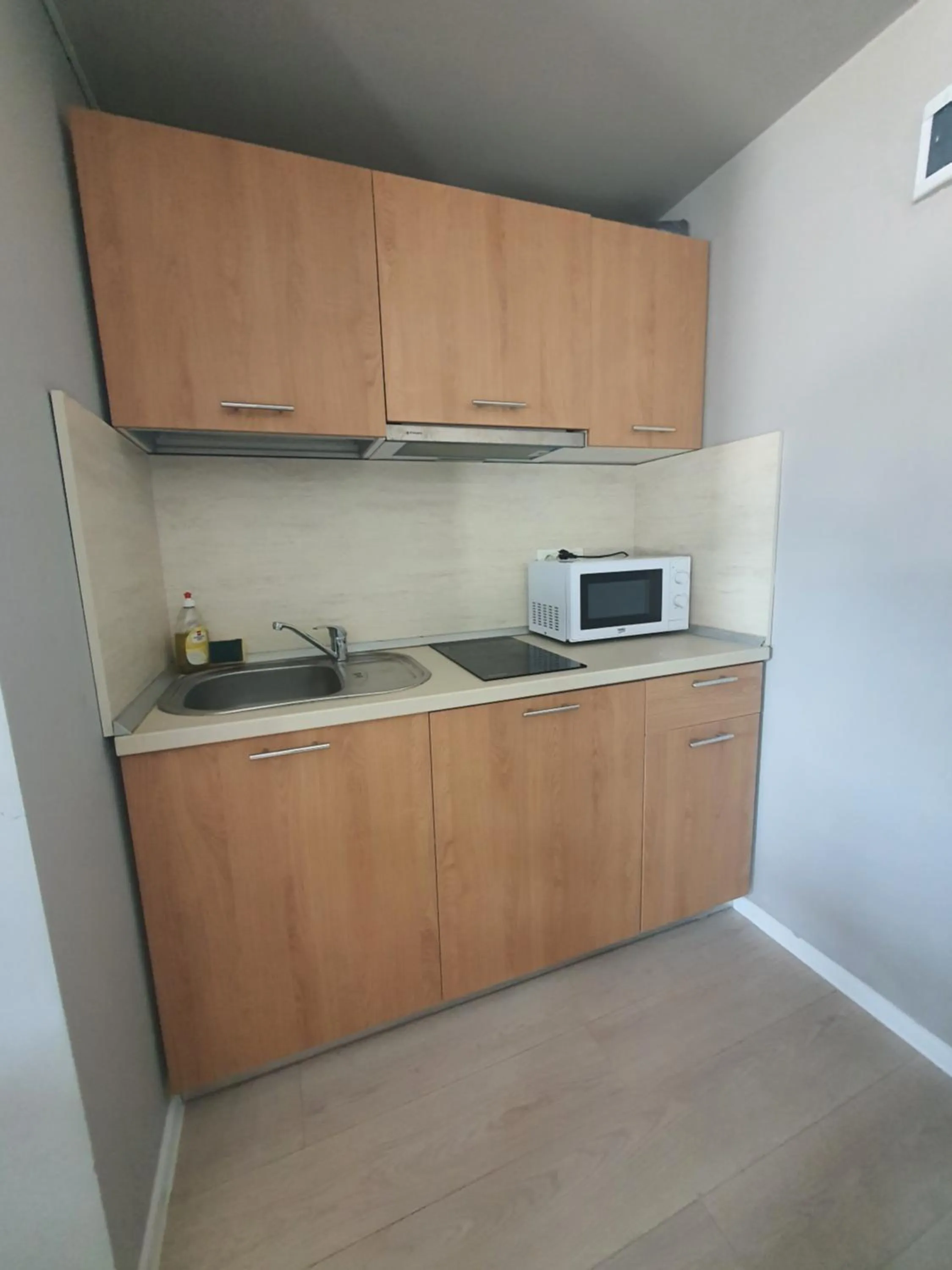 Kitchen or kitchenette in Aparthotel Nevada - Apartamente