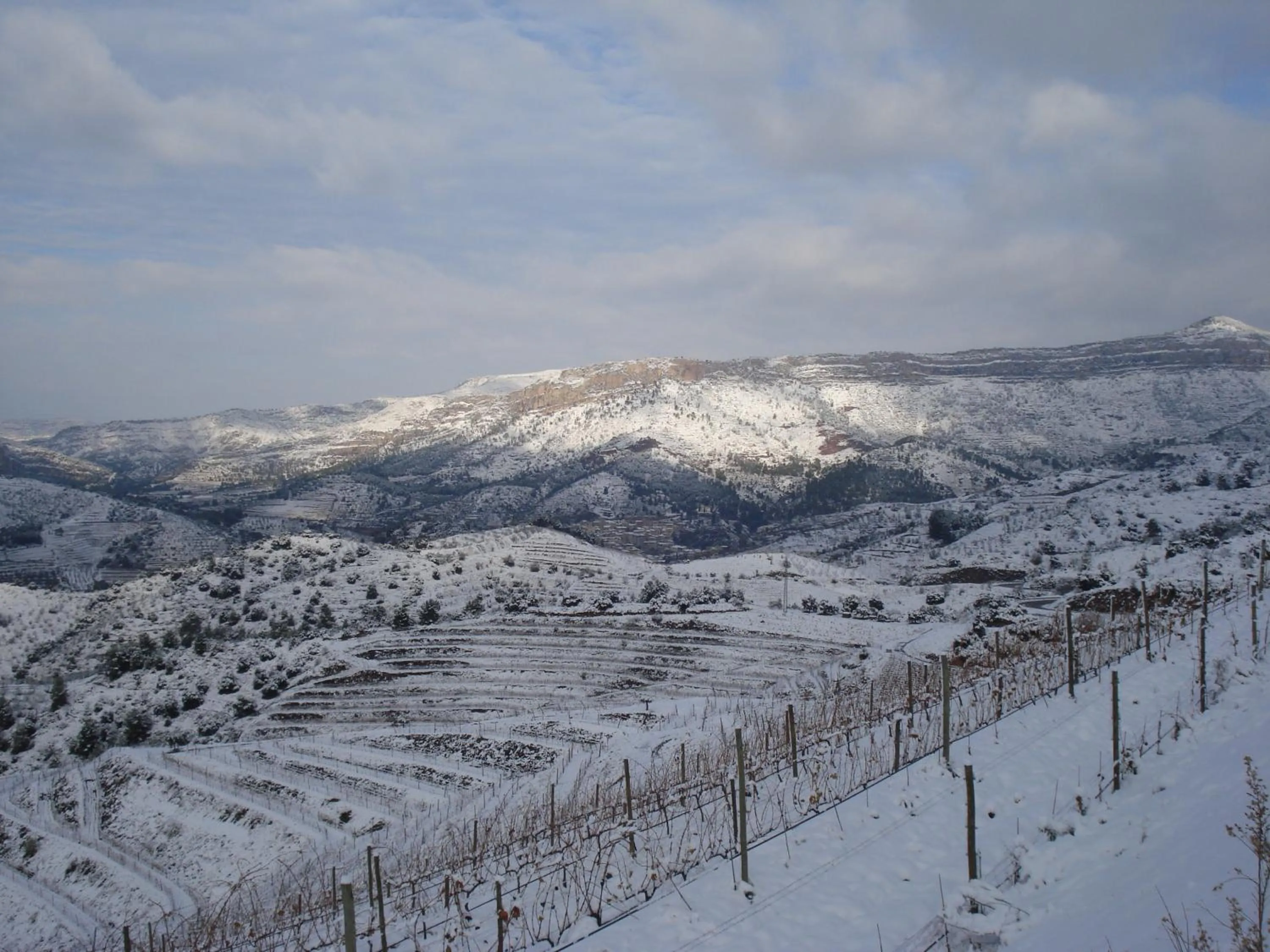 Natural landscape in Buil & Gine Wine Hotel