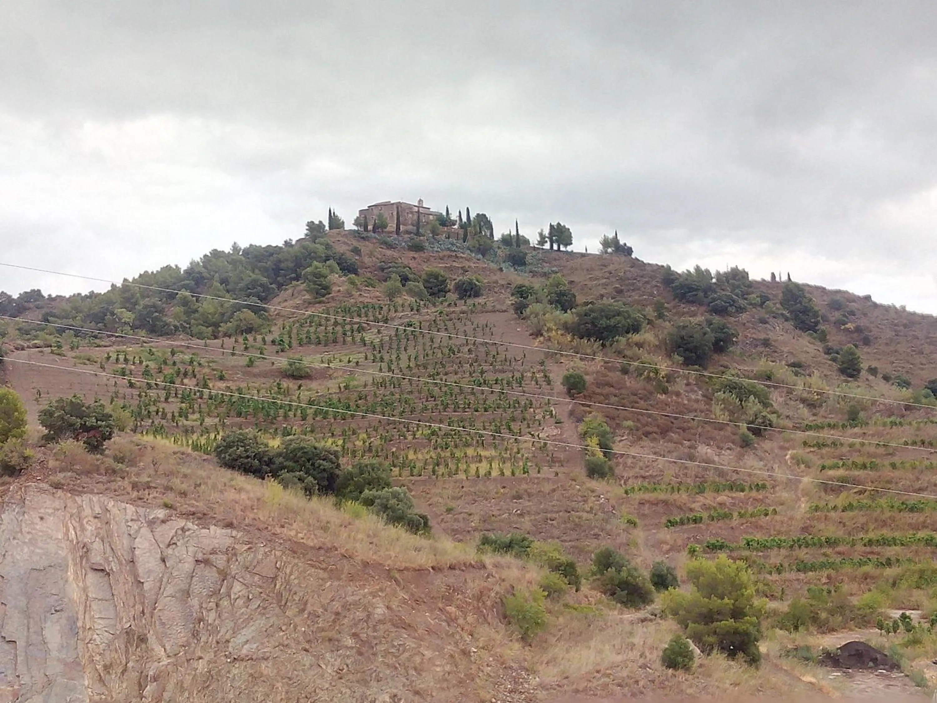 Nearby landmark in Buil & Gine Wine Hotel