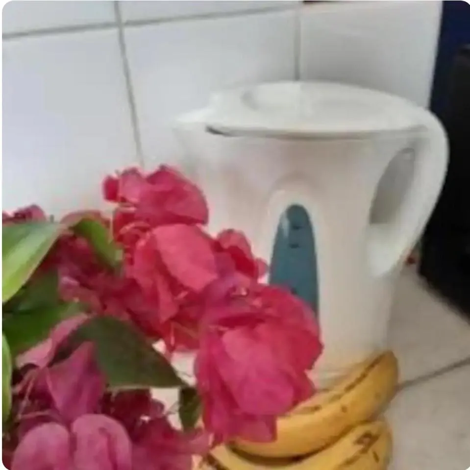 Kitchen or kitchenette in HARMONY Hotel Hostel Aruba