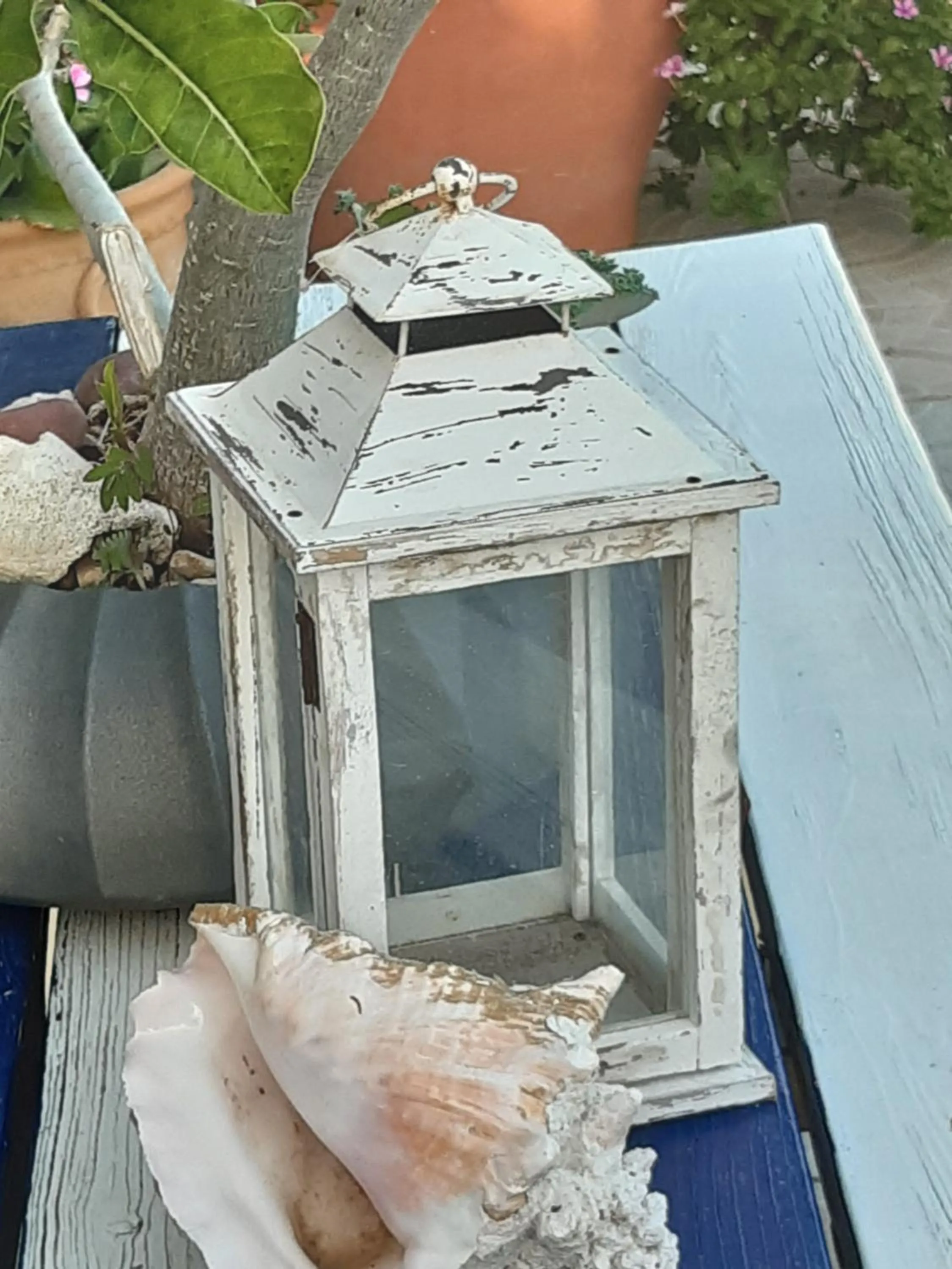 On site in HARMONY Hotel Hostel Aruba