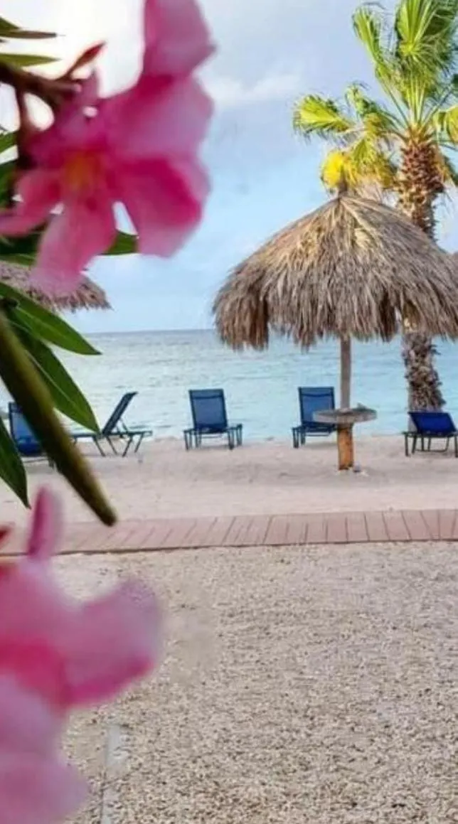 Nearby landmark in HARMONY Hotel Hostel Aruba