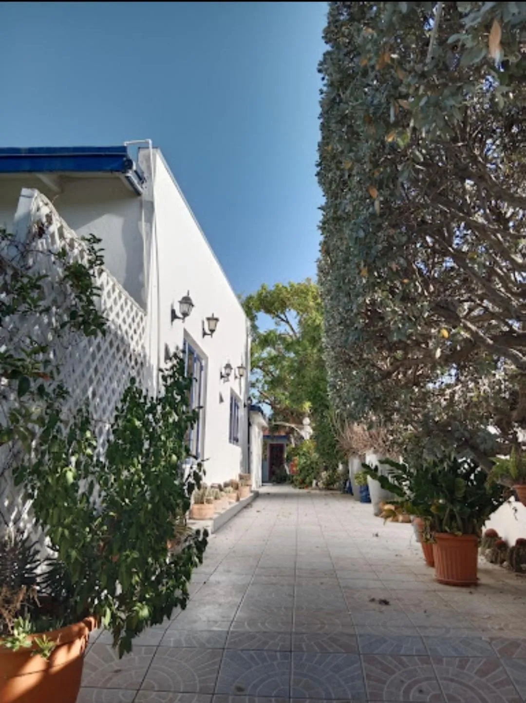 Property building in HARMONY Hotel Hostel Aruba