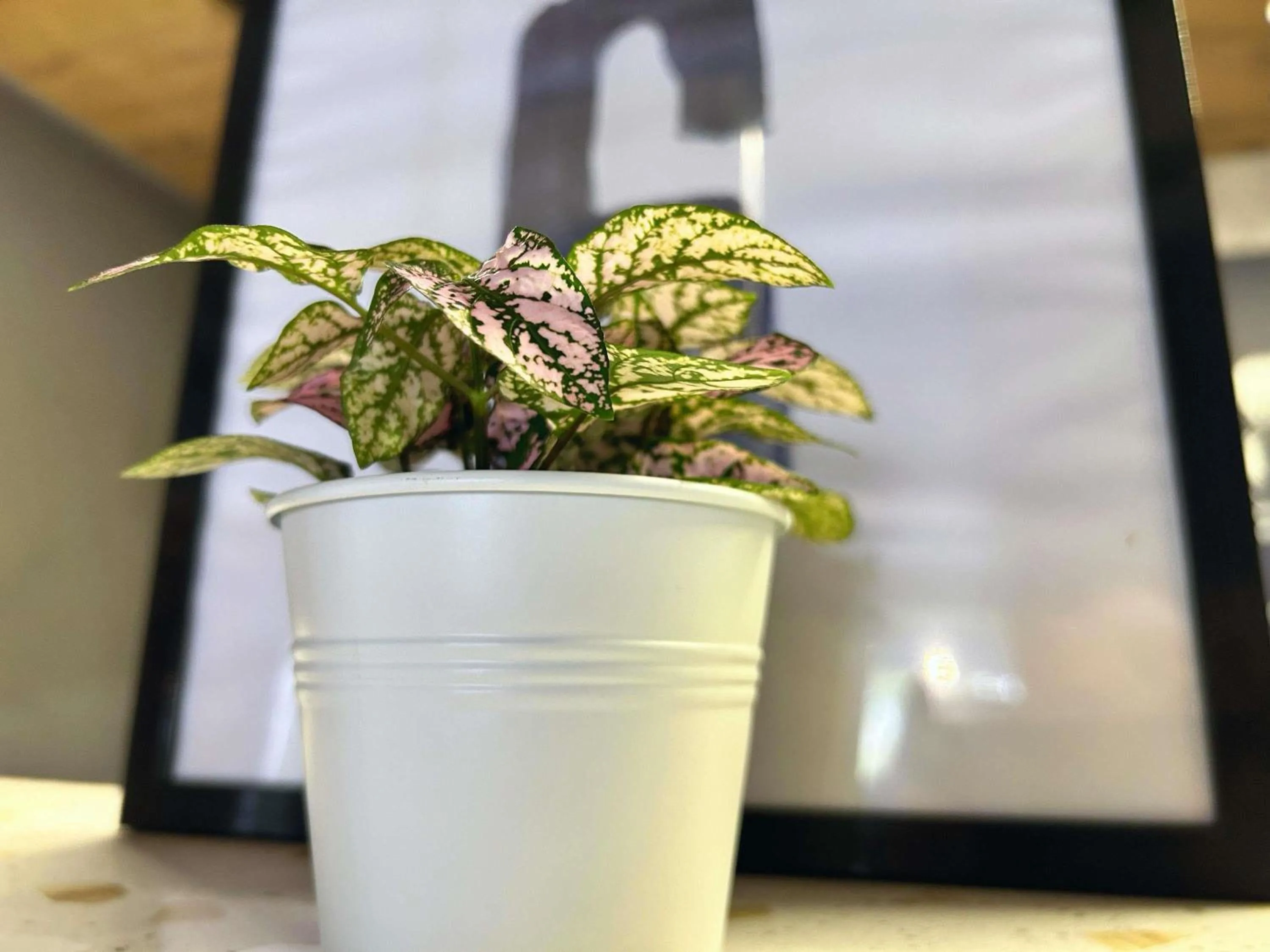 Property building in ibis Budget Beaune