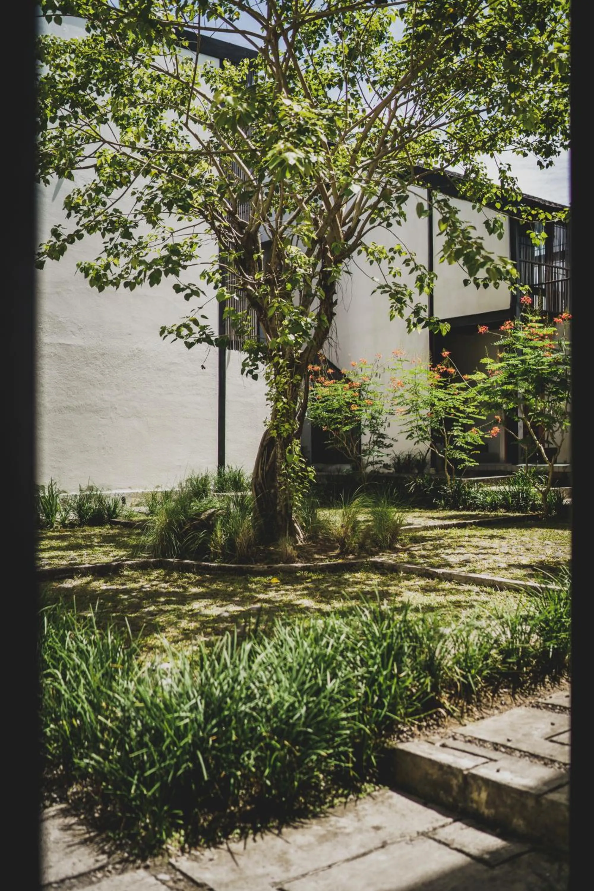 Natural landscape in The Saren