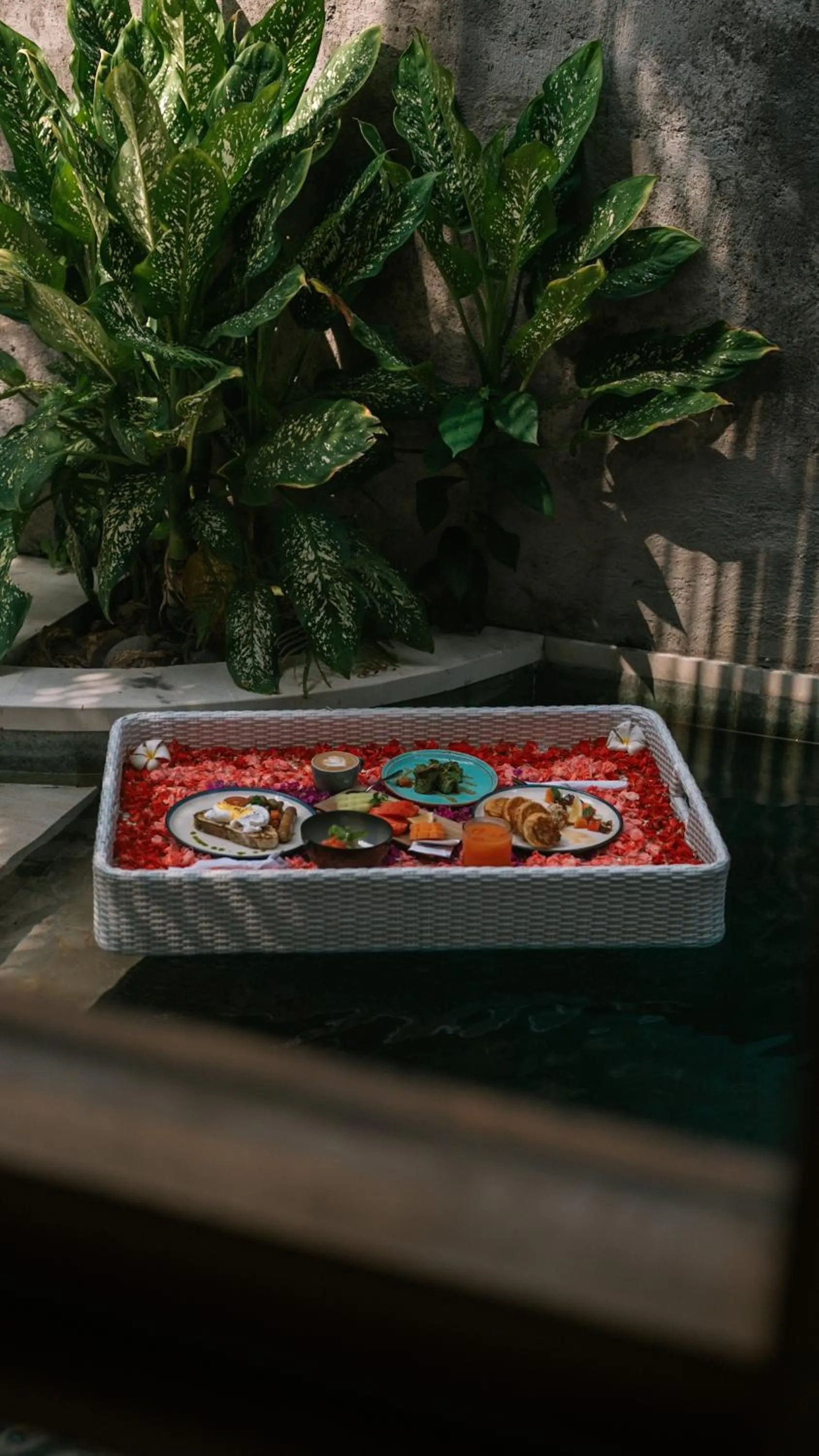 Food and drinks in The Saren