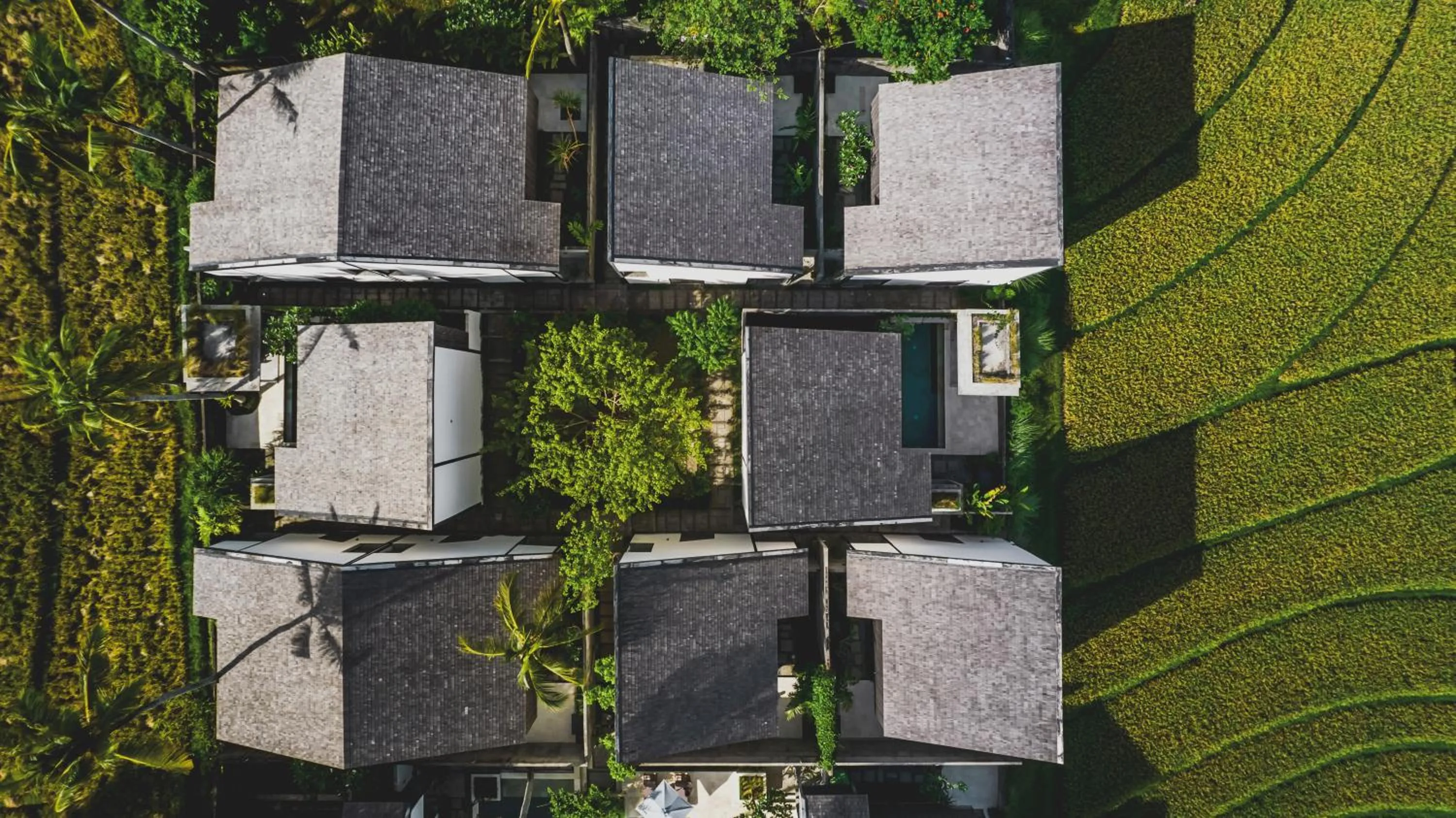 Property building in The Saren