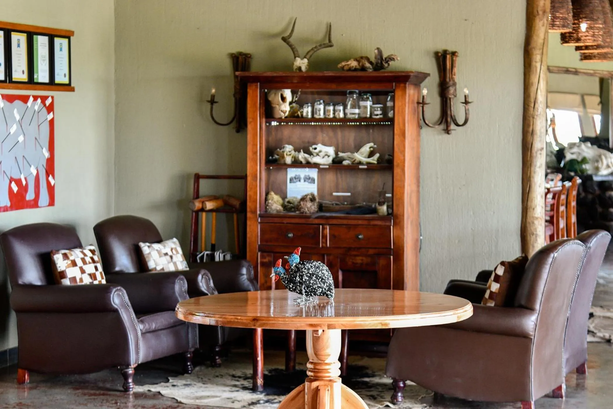 Property building in The Springbok Lodge