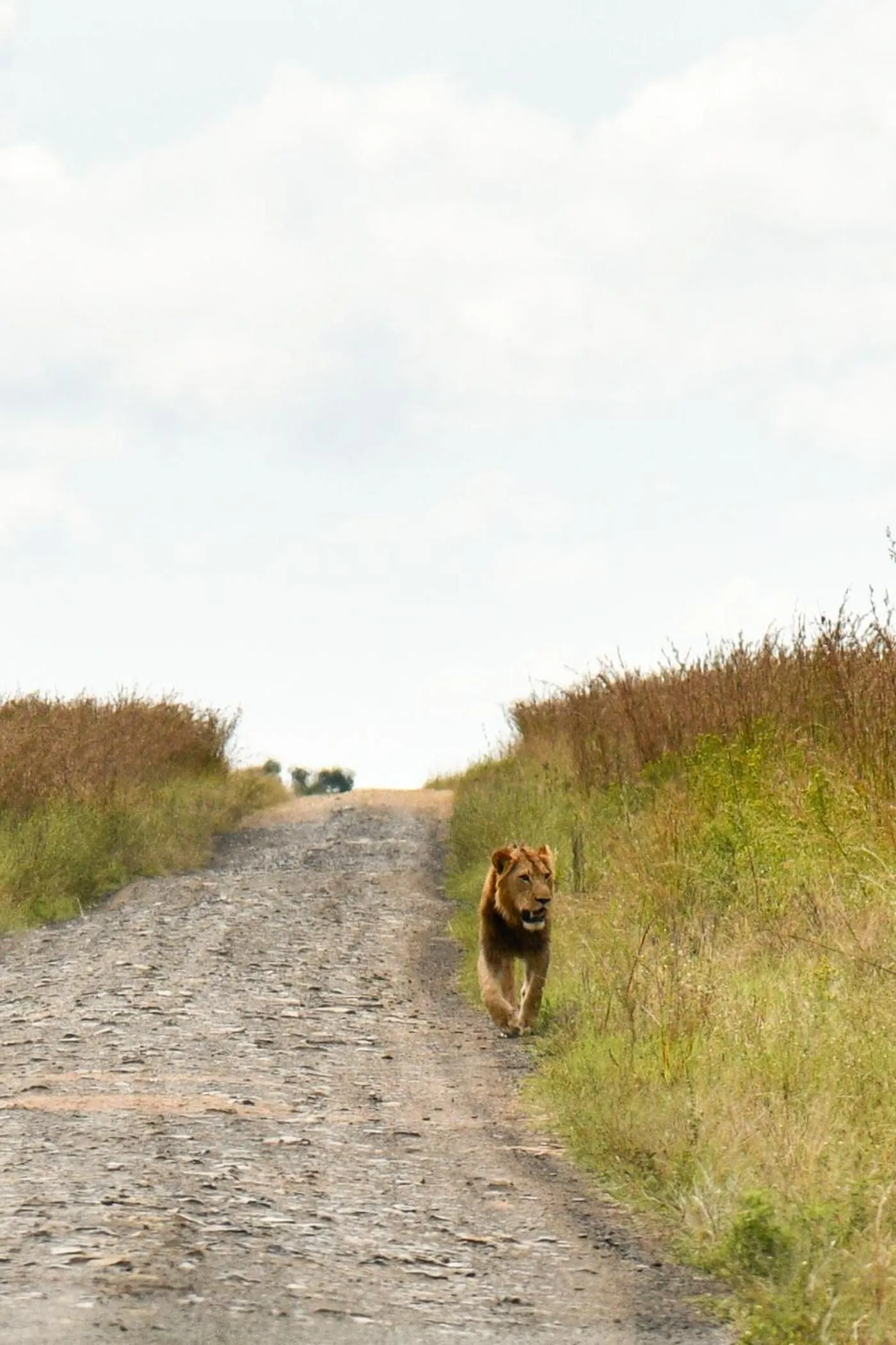 Activities in The Springbok Lodge