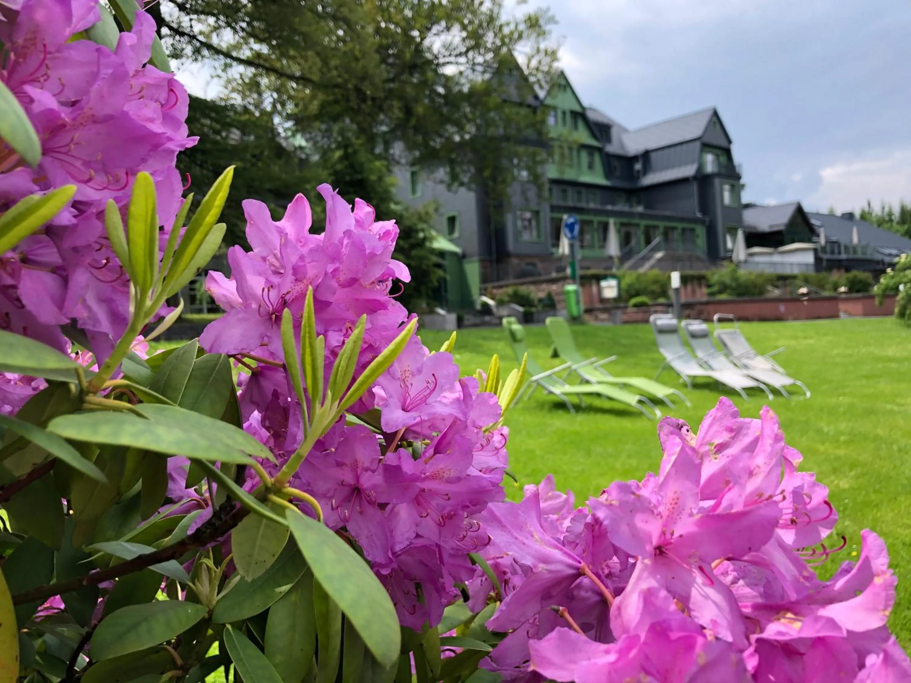 Spring in BERG & SPA HOTEL GABELBACH