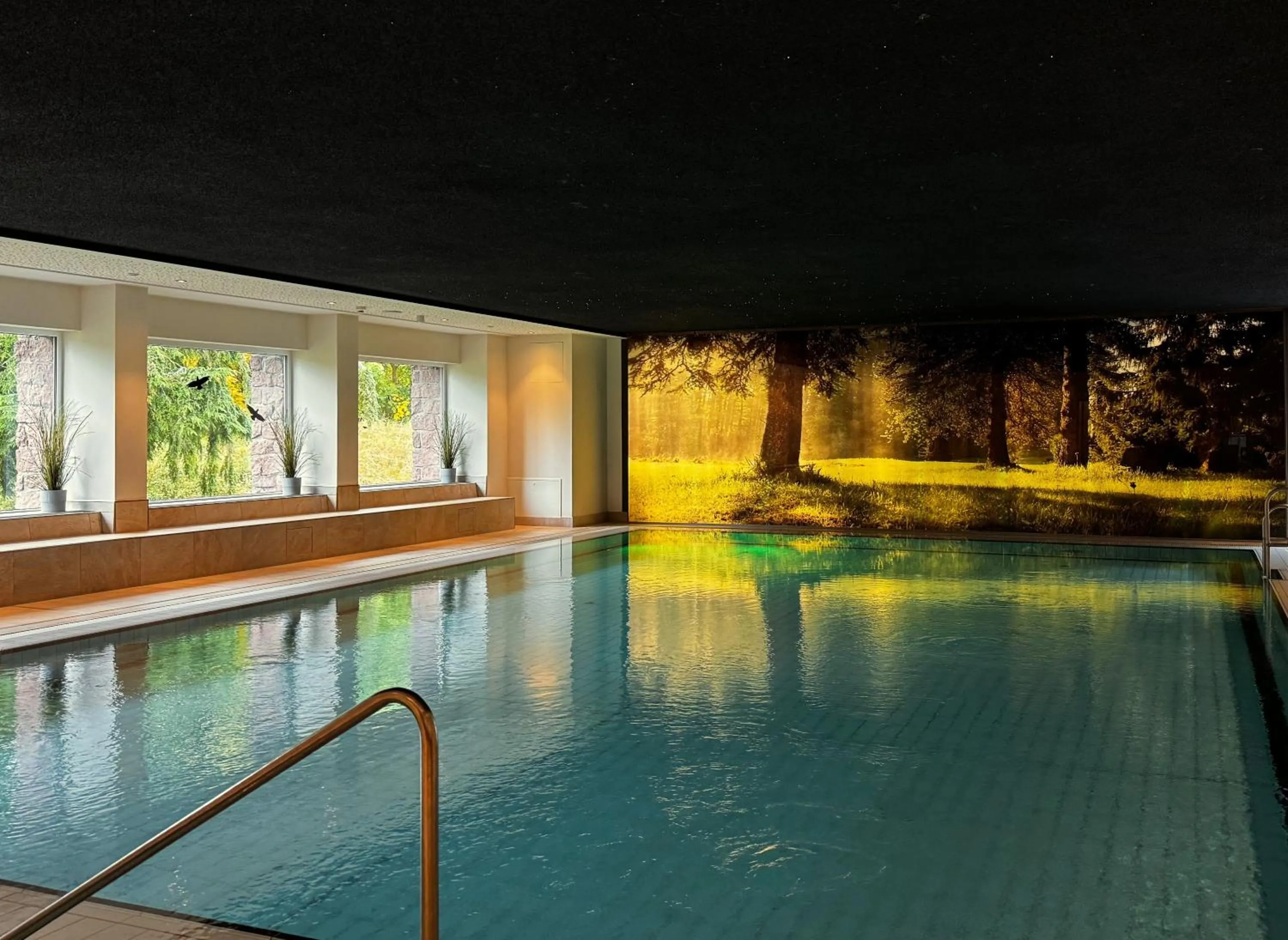 Swimming pool in BERG & SPA HOTEL GABELBACH