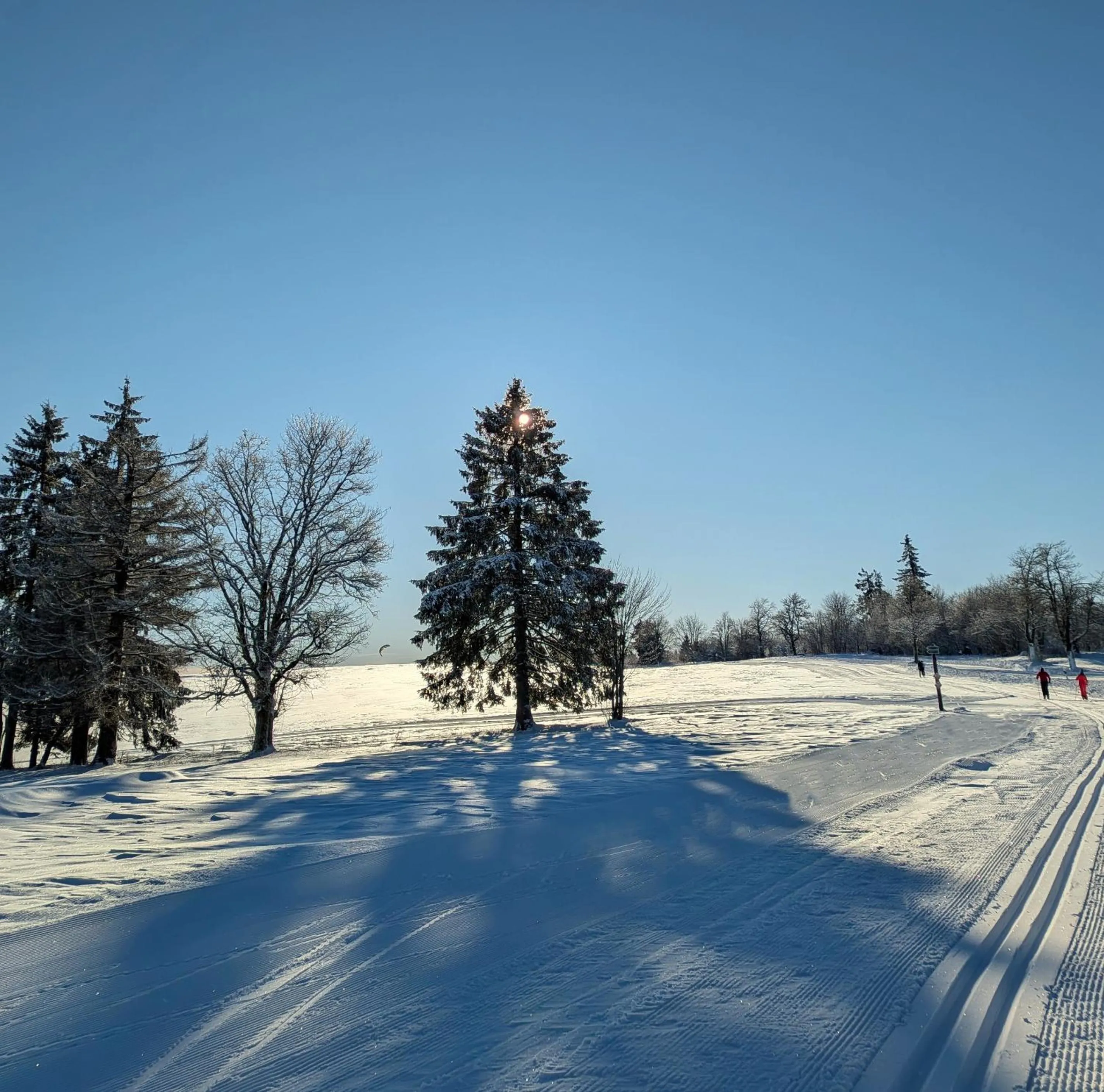 Skiing in BERG & SPA HOTEL GABELBACH