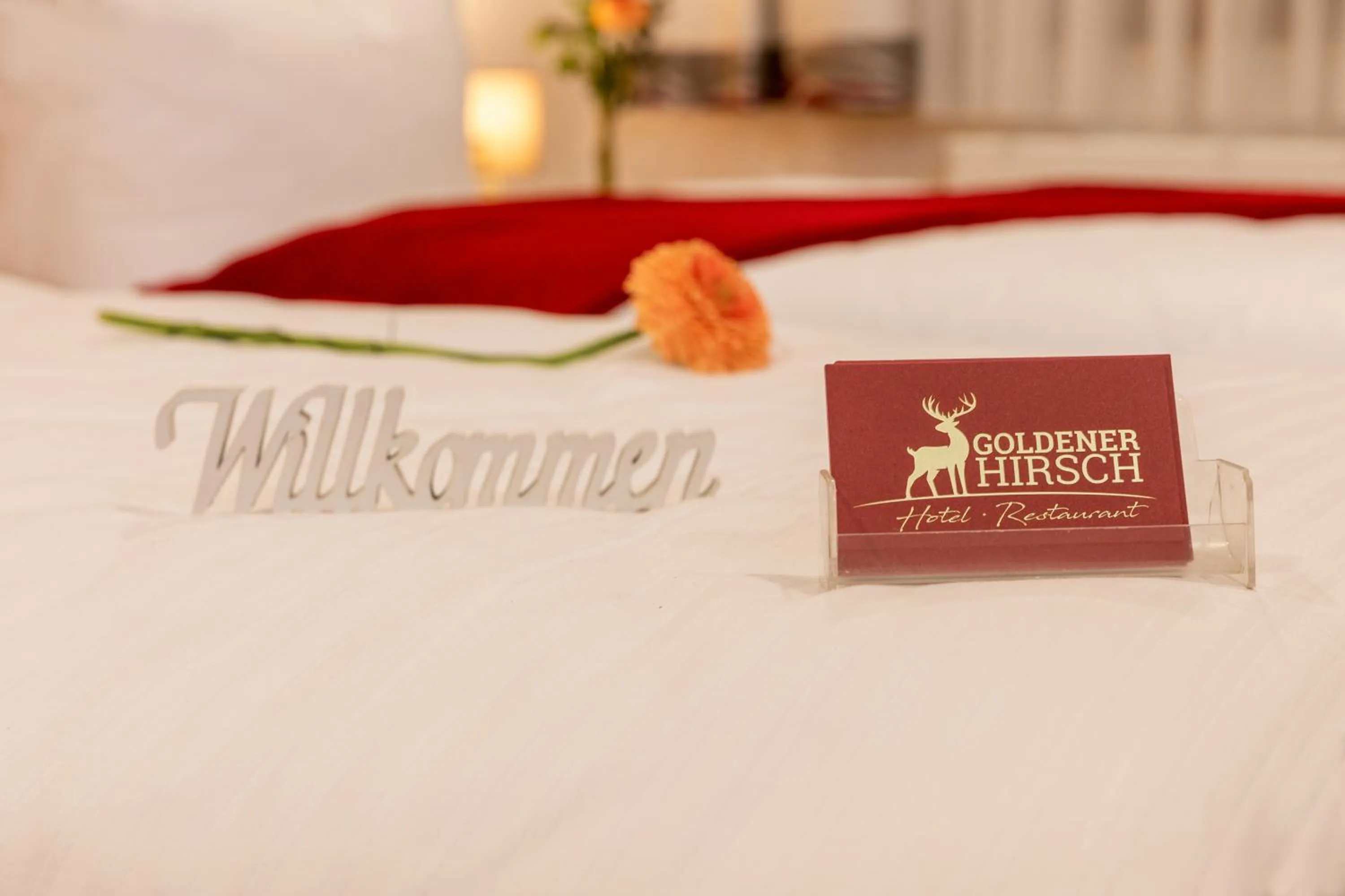 Photo of the whole room, Bed in Hotel Restaurant Goldener Hirsch