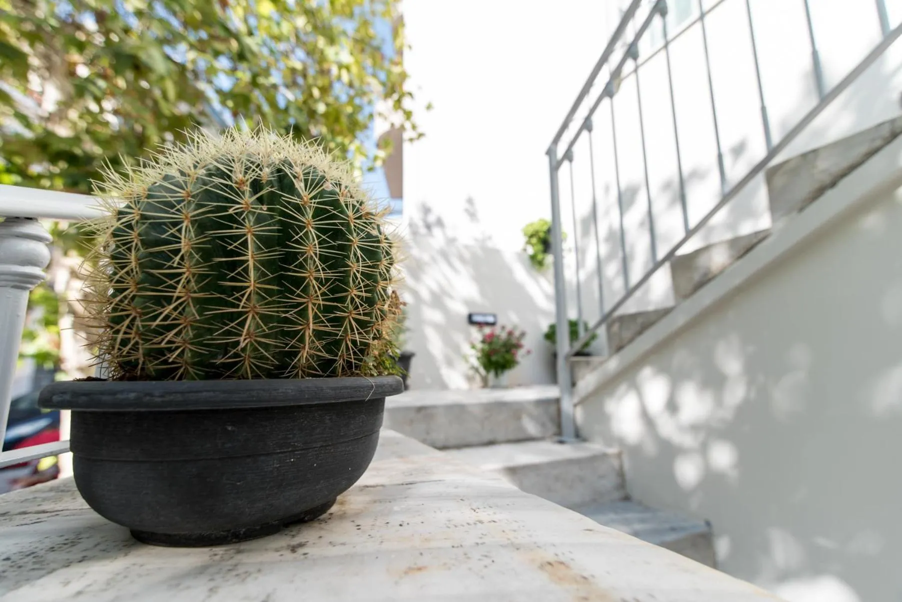 Patio in Acropolis Vision