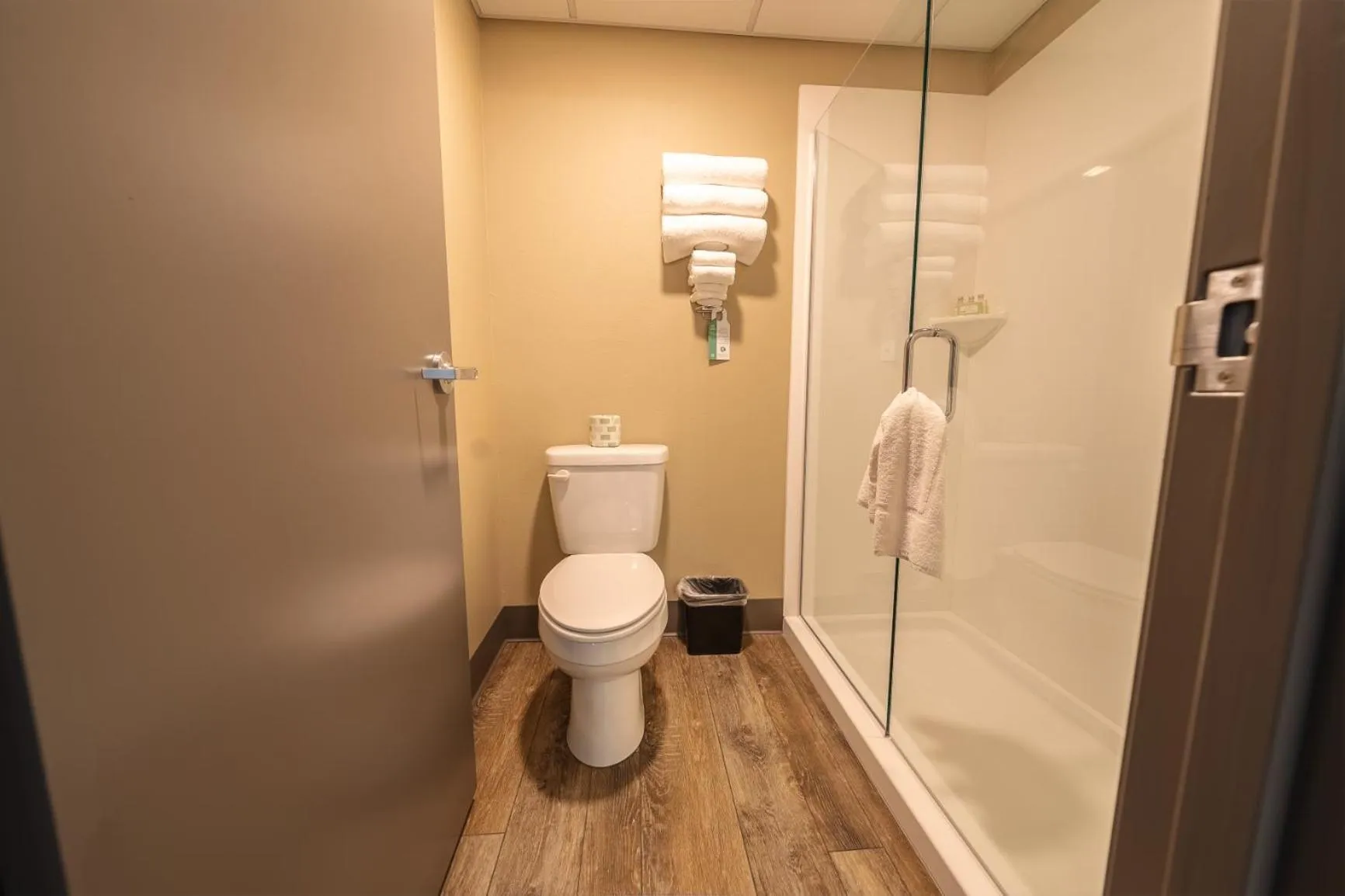 Shower in Cobblestone Inn & Suites - Trenton