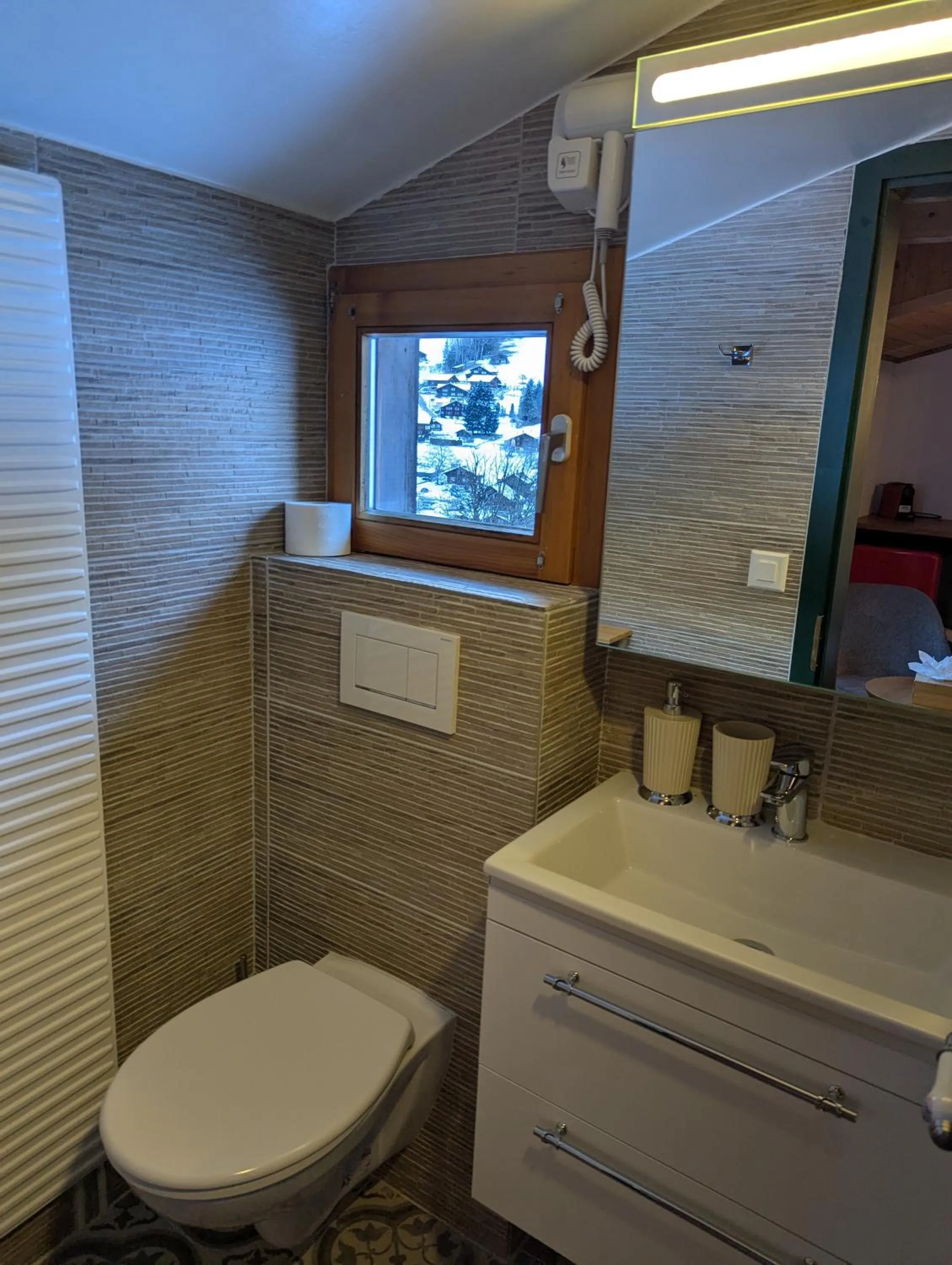 Toilet in Hotel Schützen Lauterbrunnen