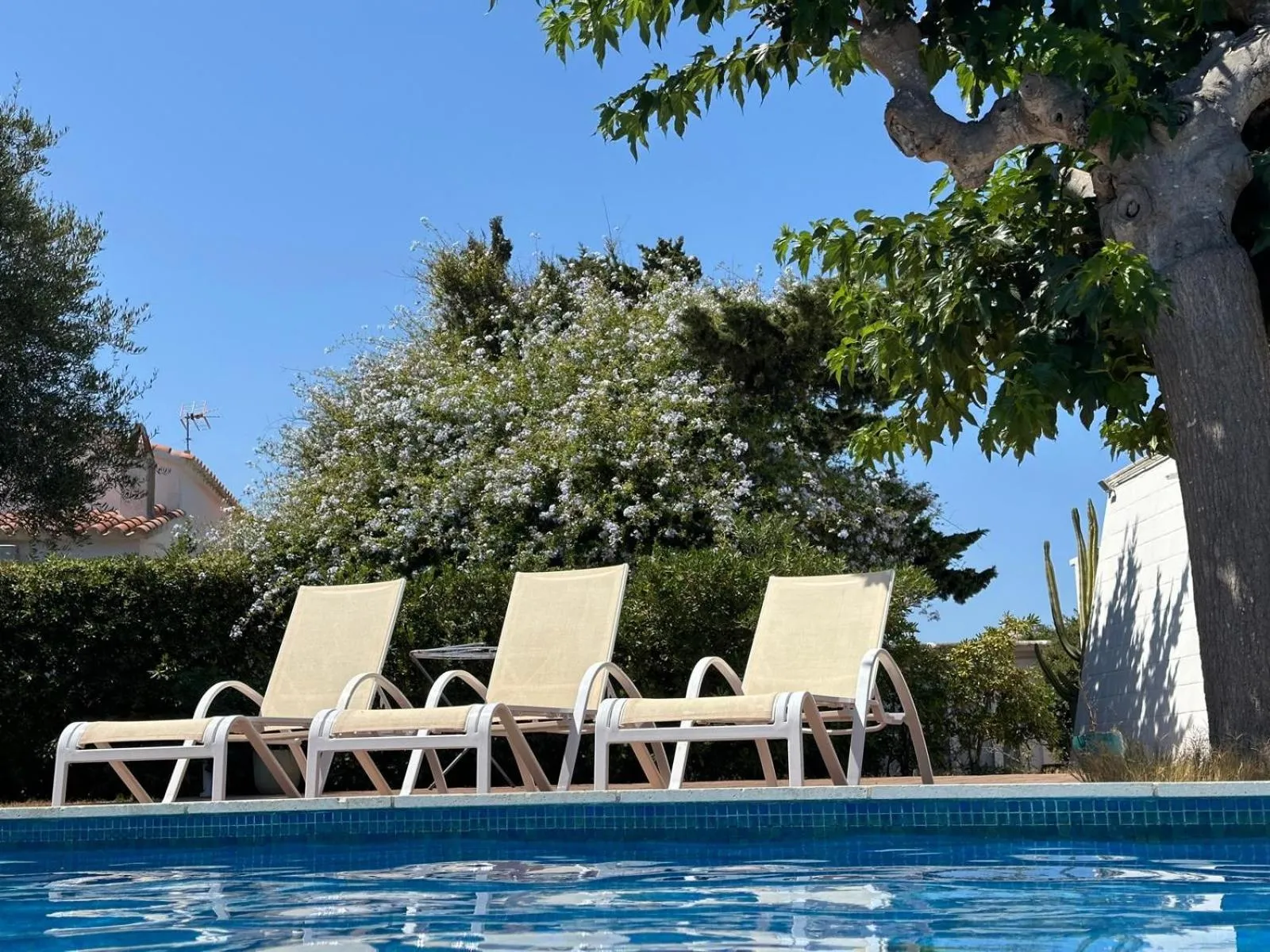 Swimming pool in Starbal Love