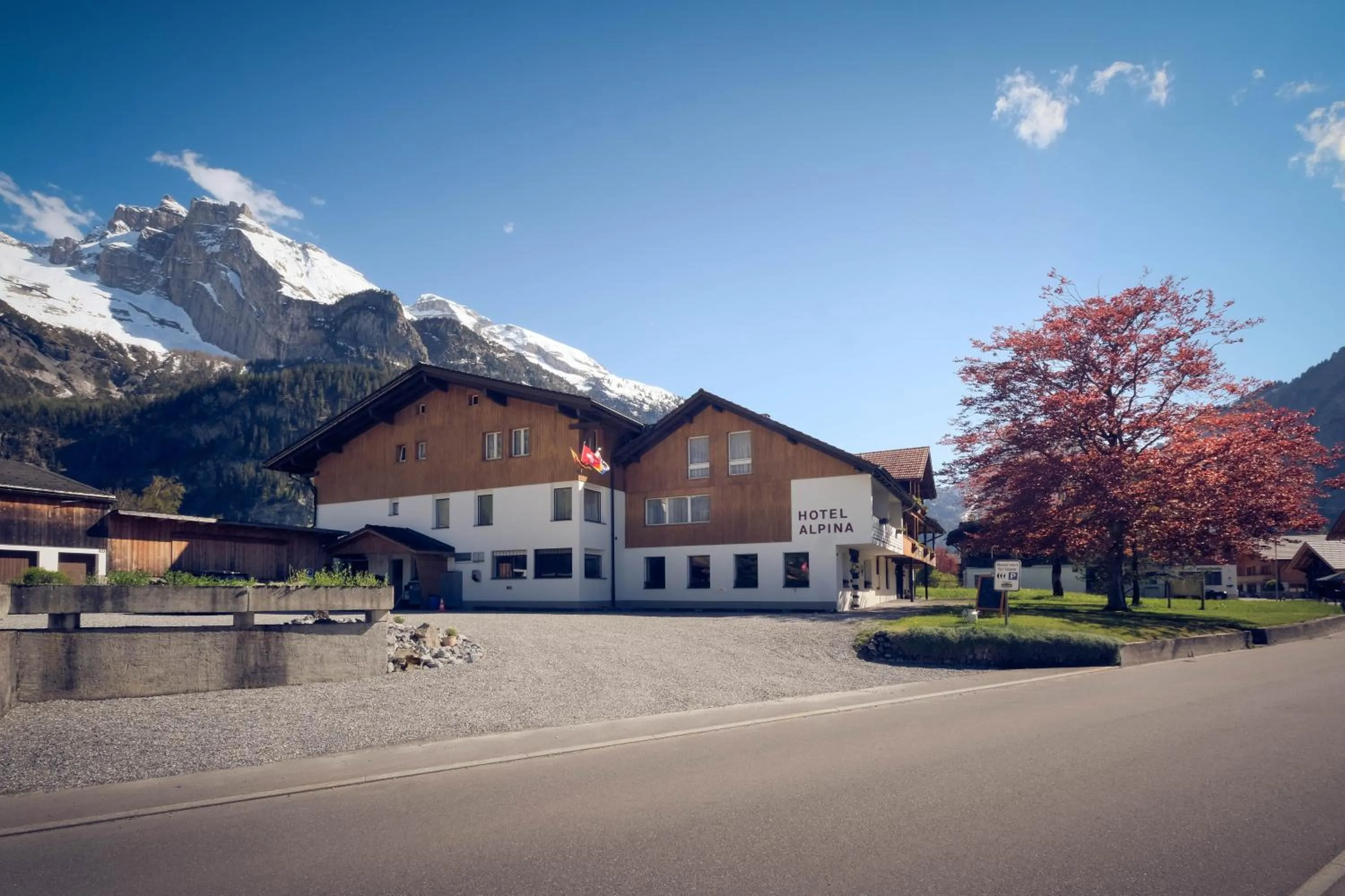 Hotel Alpina