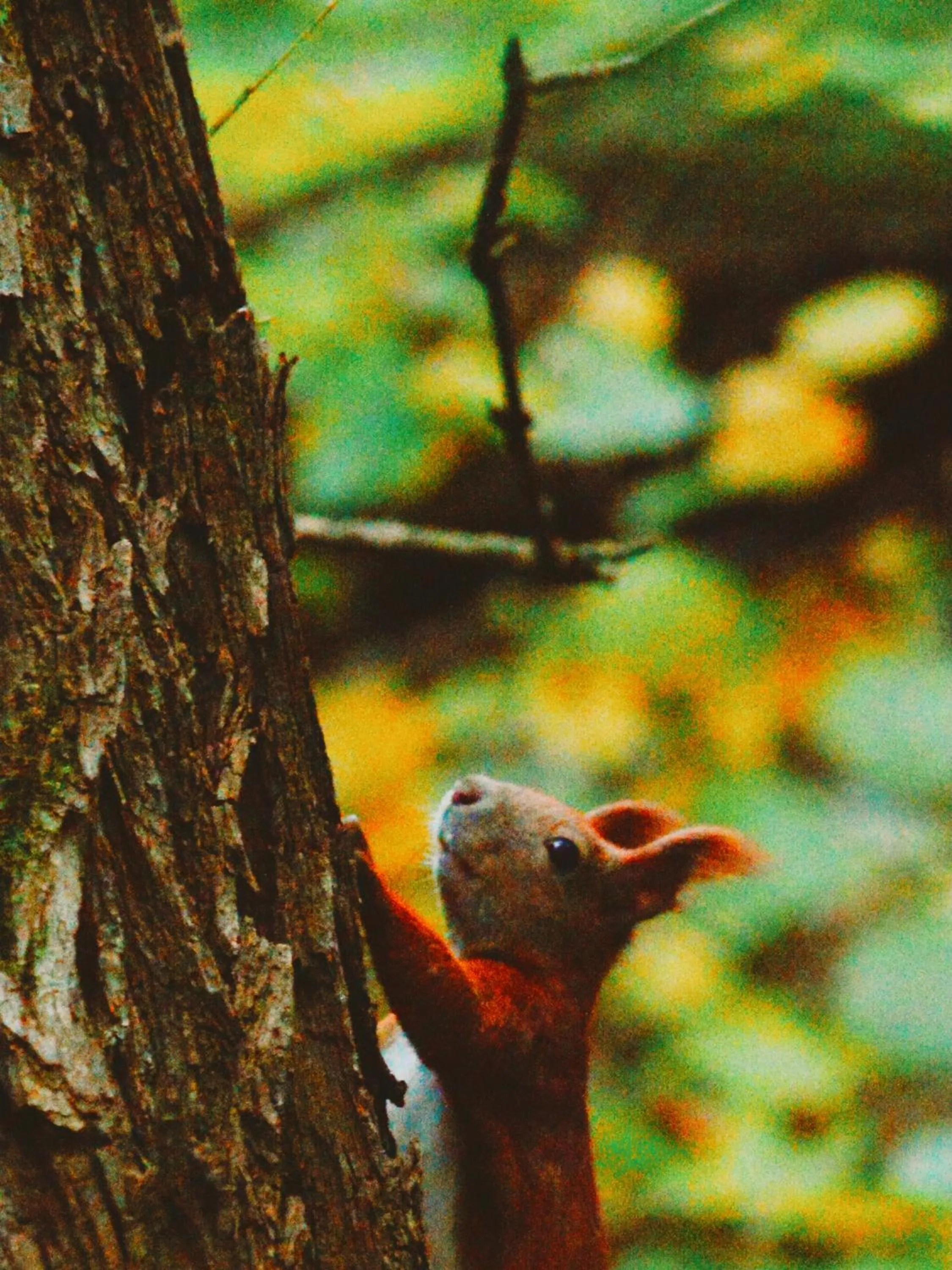 Natural landscape in Zur Margarethenmühle - Landgasthof und Waldhotel