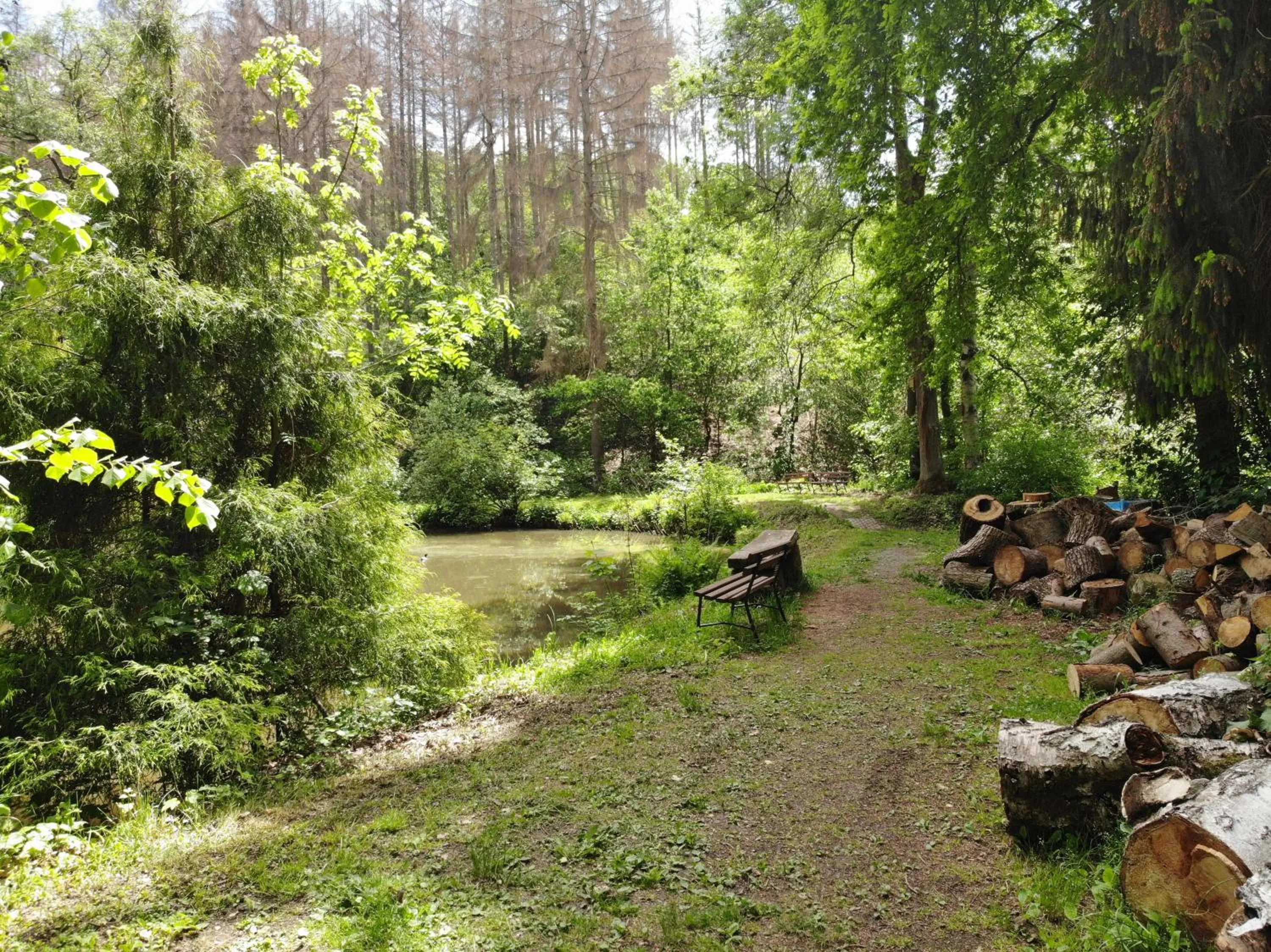 Natural landscape in Zur Margarethenmühle - Landgasthof und Waldhotel