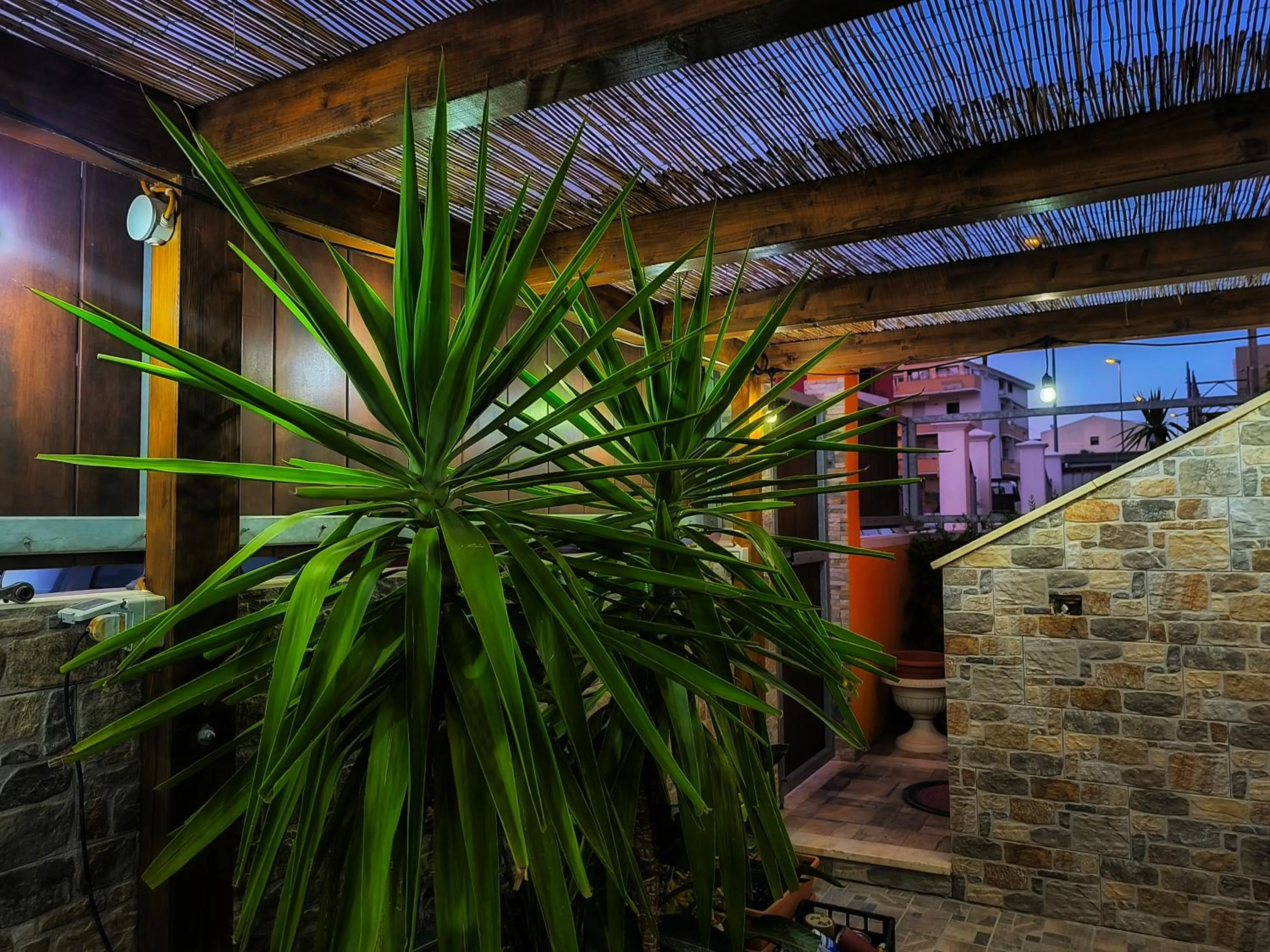 Garden in B&B Mamuthones