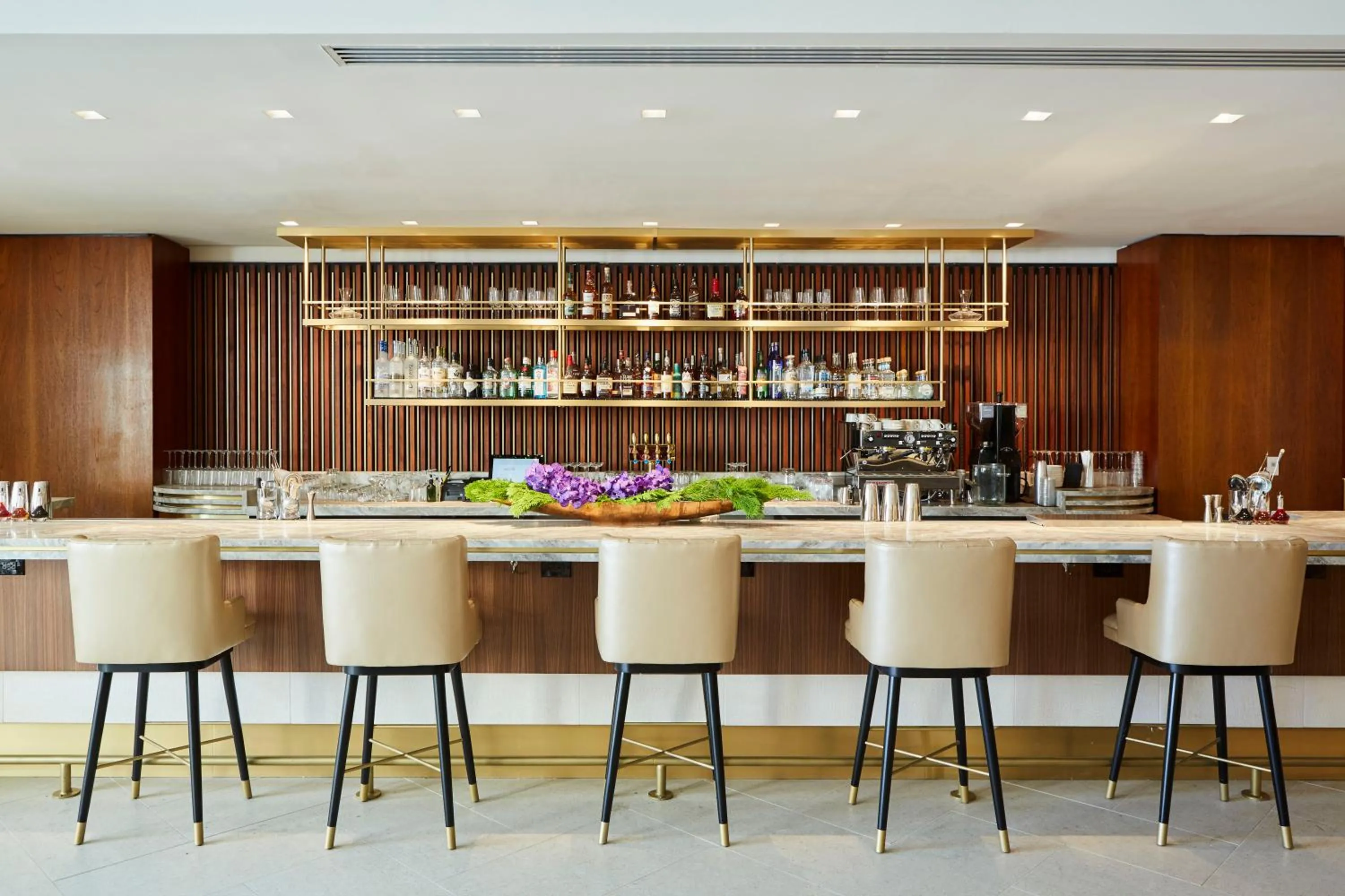 Restaurant/places to eat in Thompson Dallas, by Hyatt