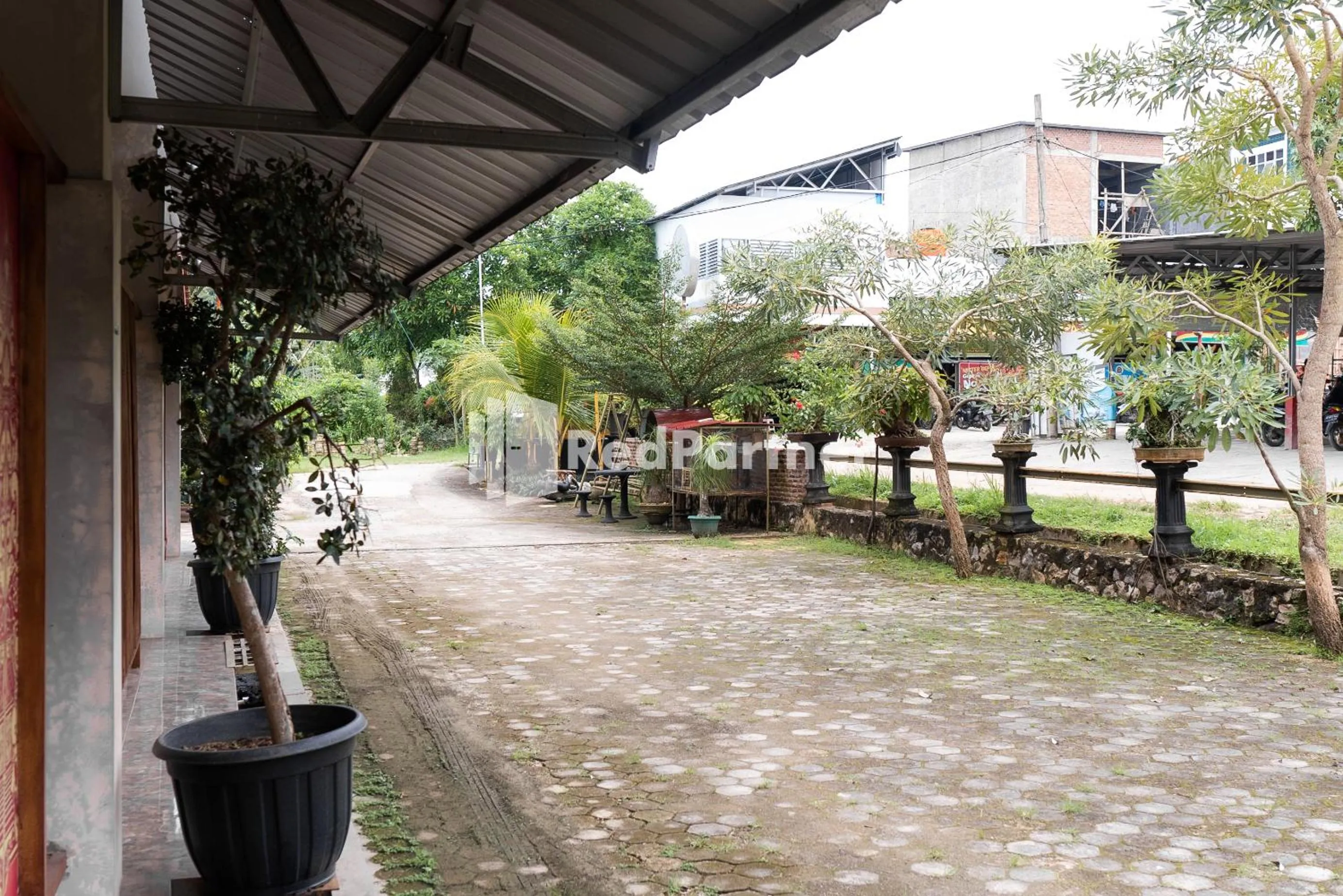 Patio in Pondok Kelapa Homestay near Unila Lampung RedPartner