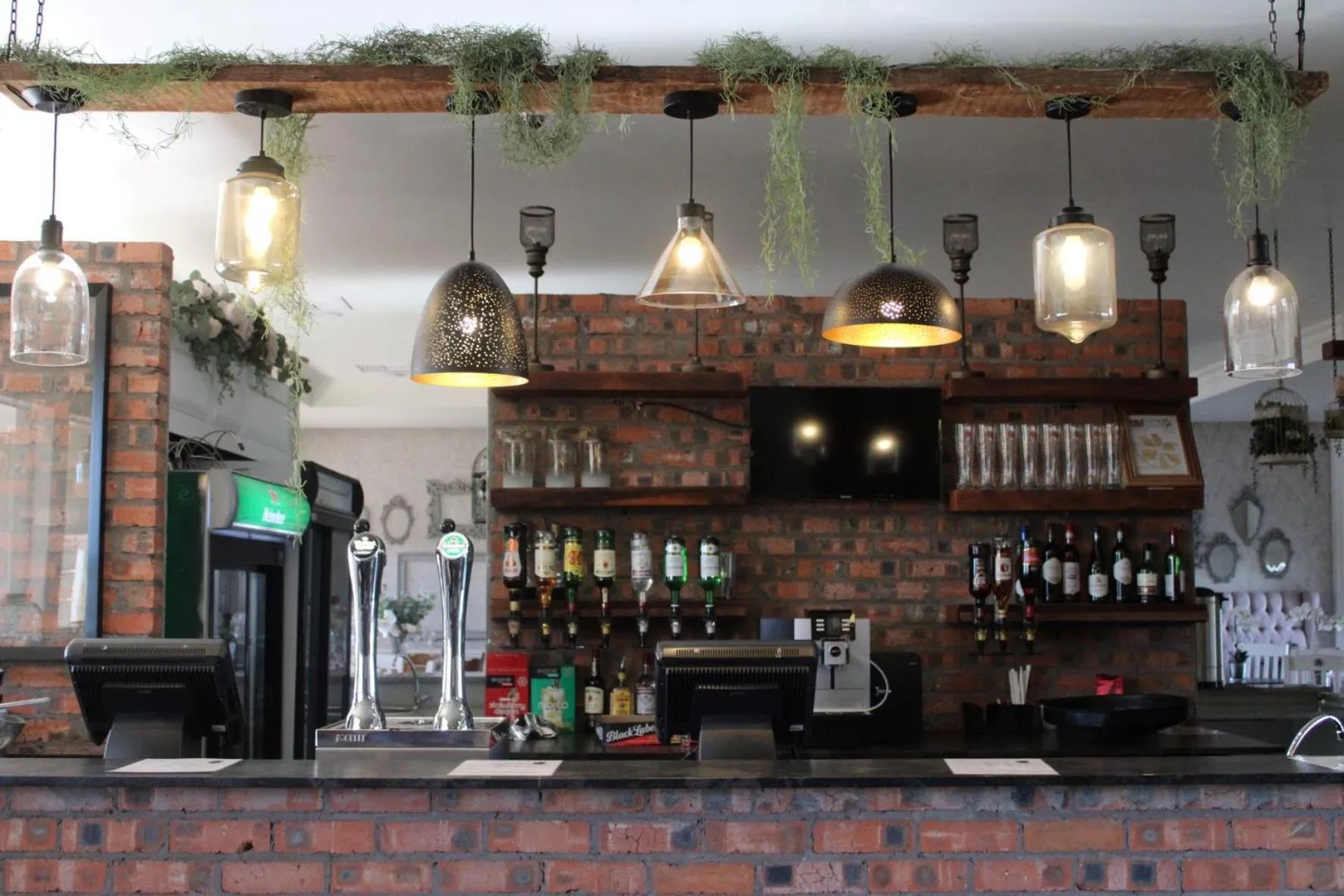 Lounge or bar in d Olive Rose Boutique Hotel Danielskuil